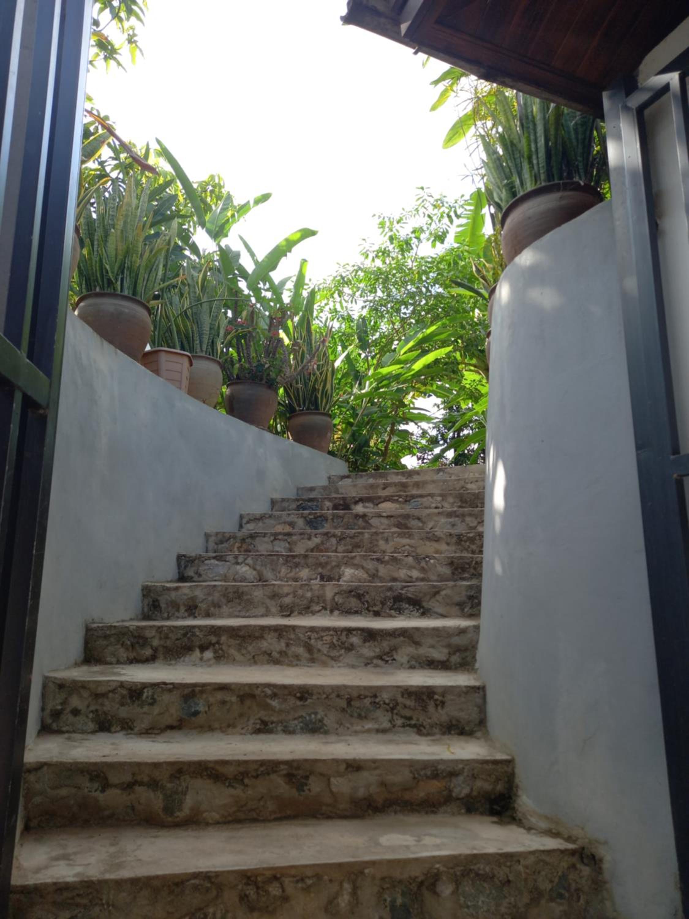 Photo 35