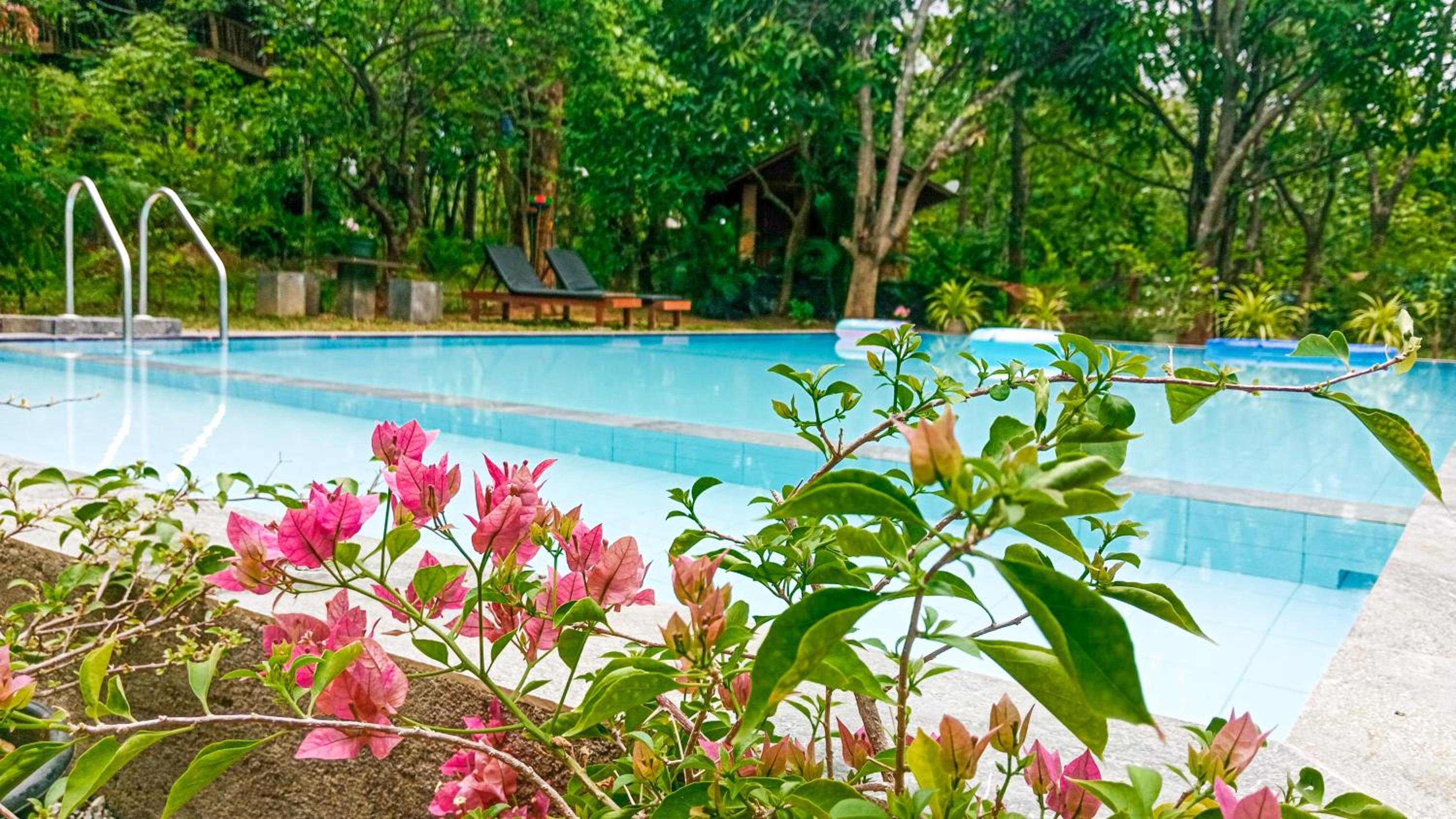 Lotus Eco Villa