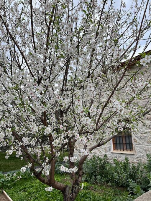 Villa Değirmen