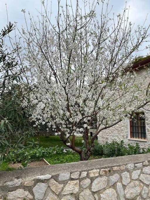 Villa Değirmen