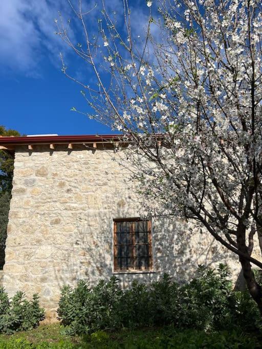 Villa Değirmen