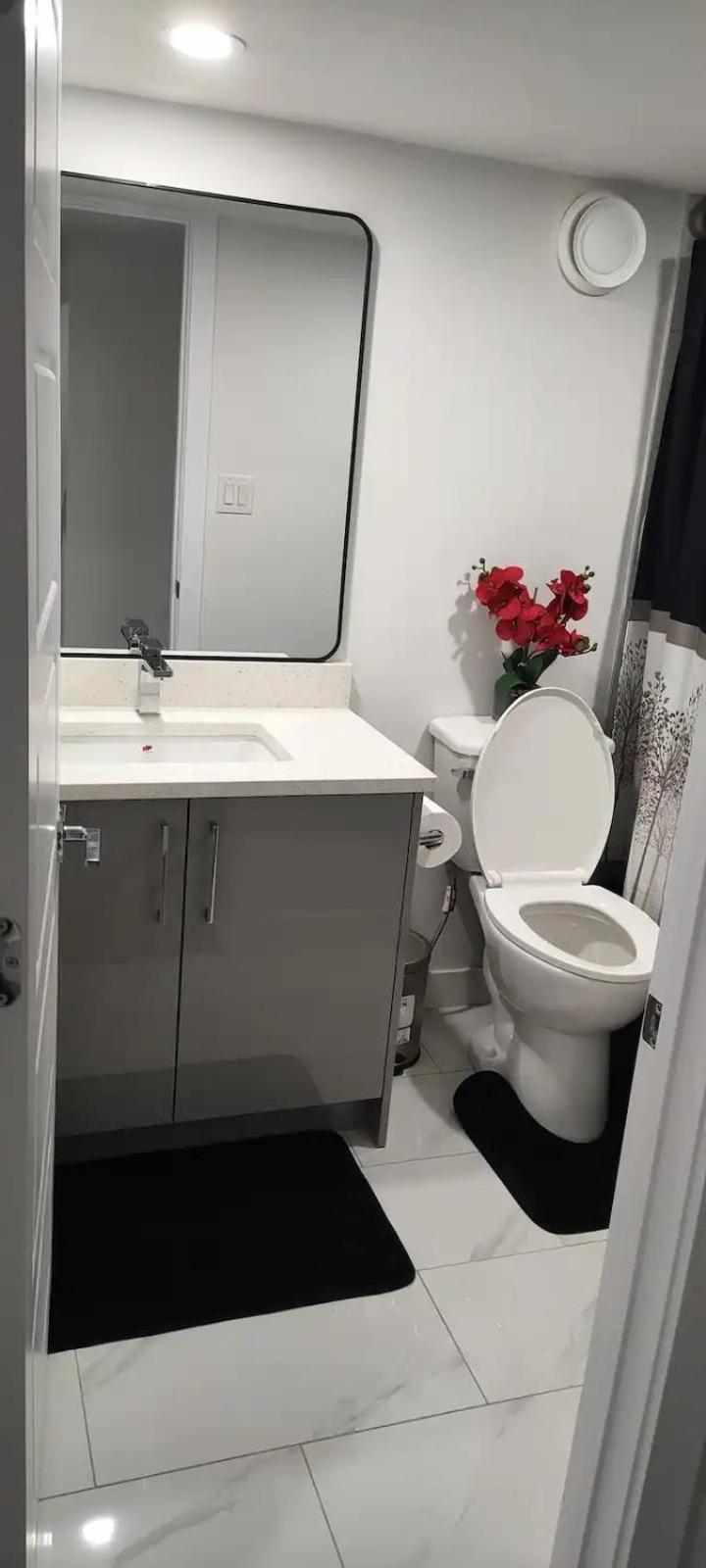 Contemporary Two Bedroom Basement Suite