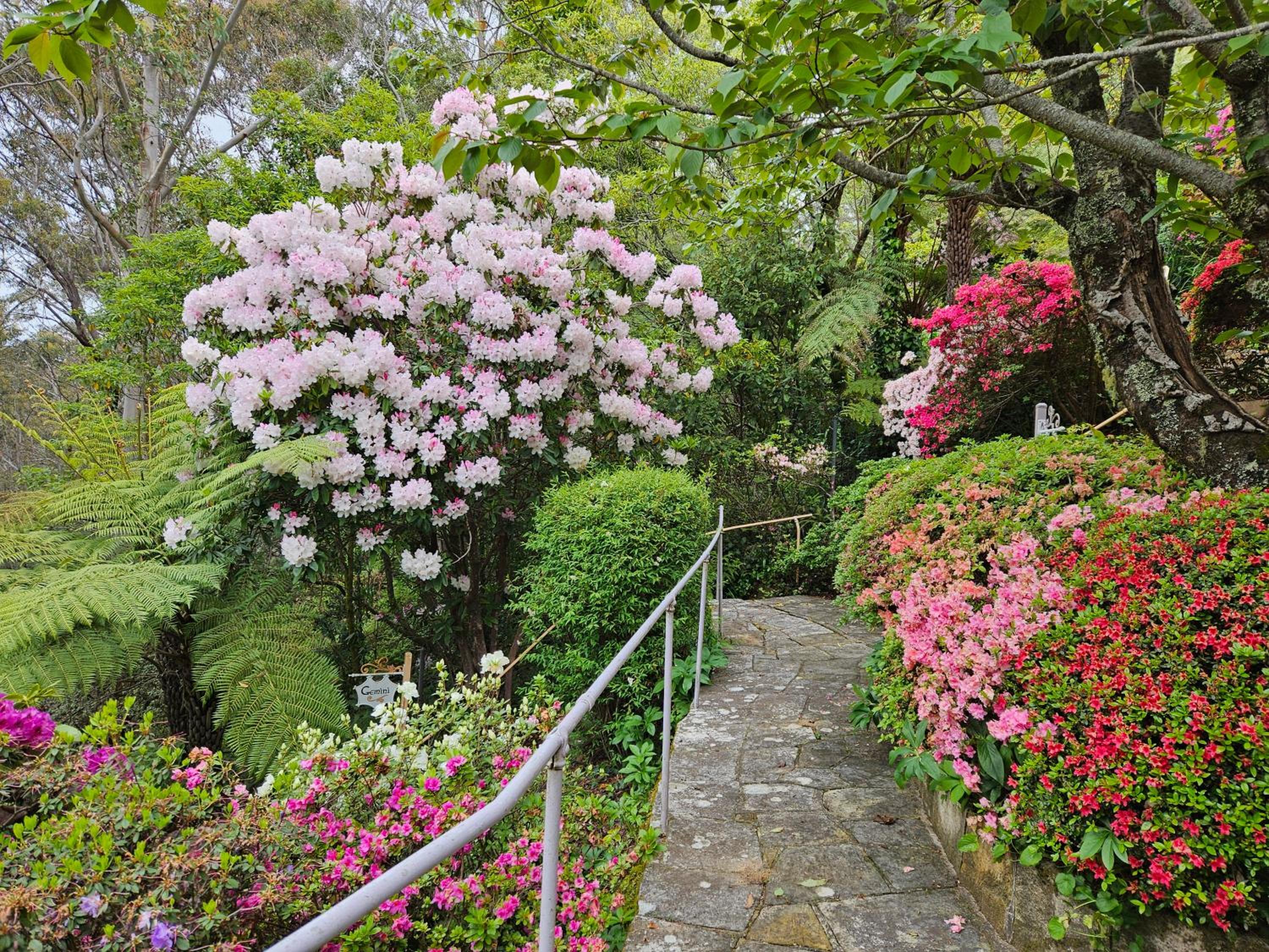 Dalia's Blue Mountain Retreat