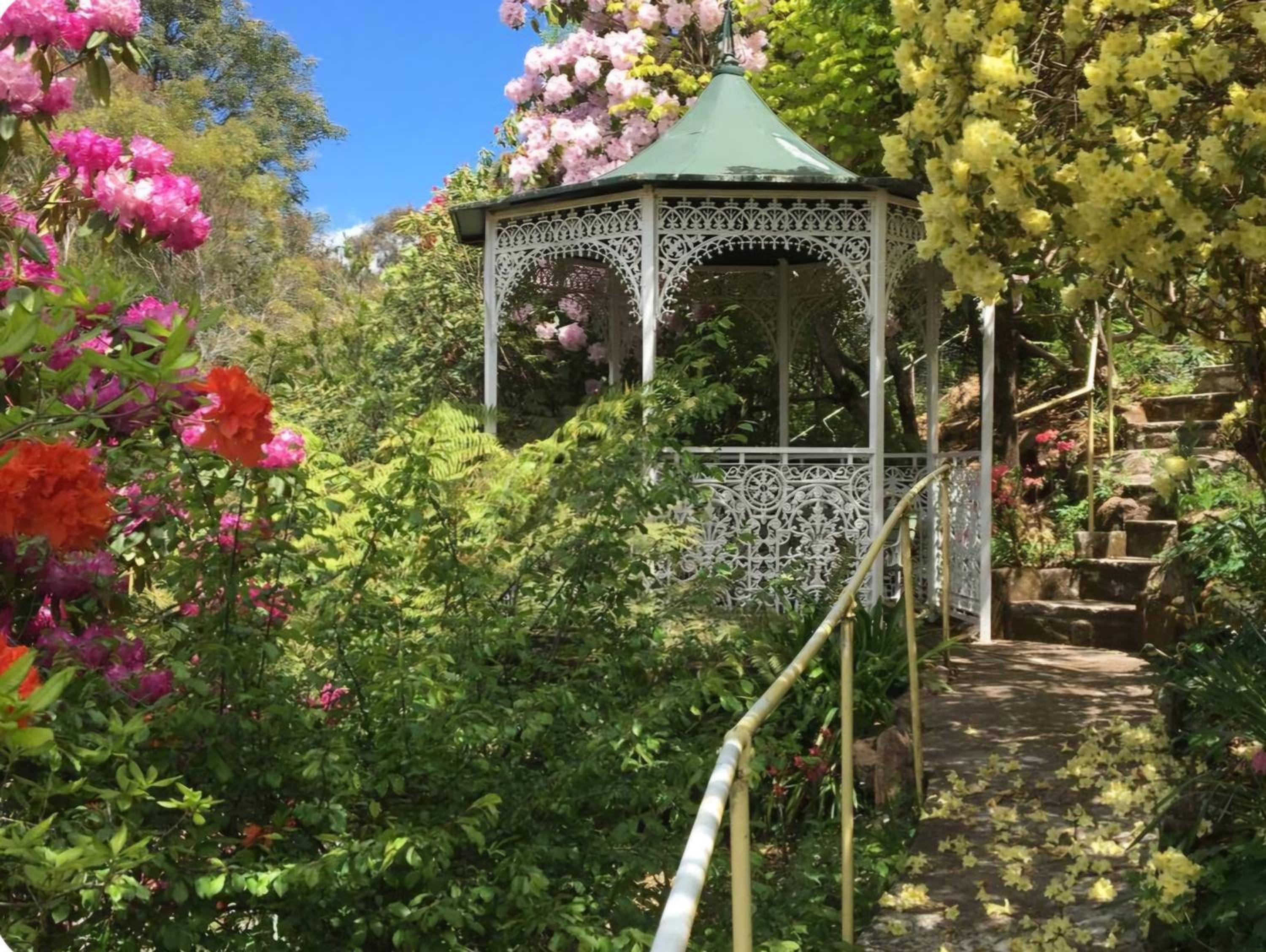 Dalia's Blue Mountain Retreat