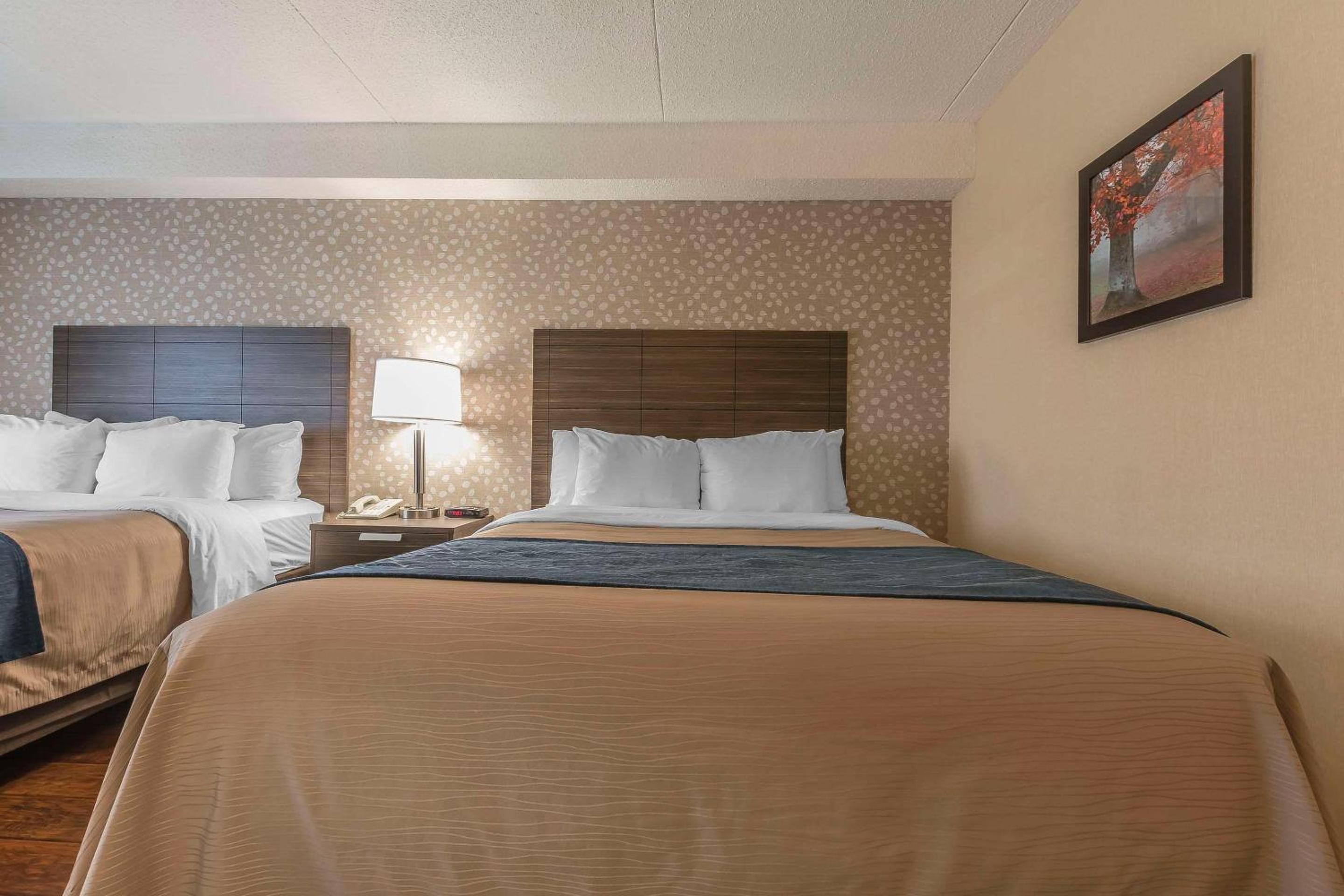 Levis Vacations - Comfort Inn - Property Image 12
