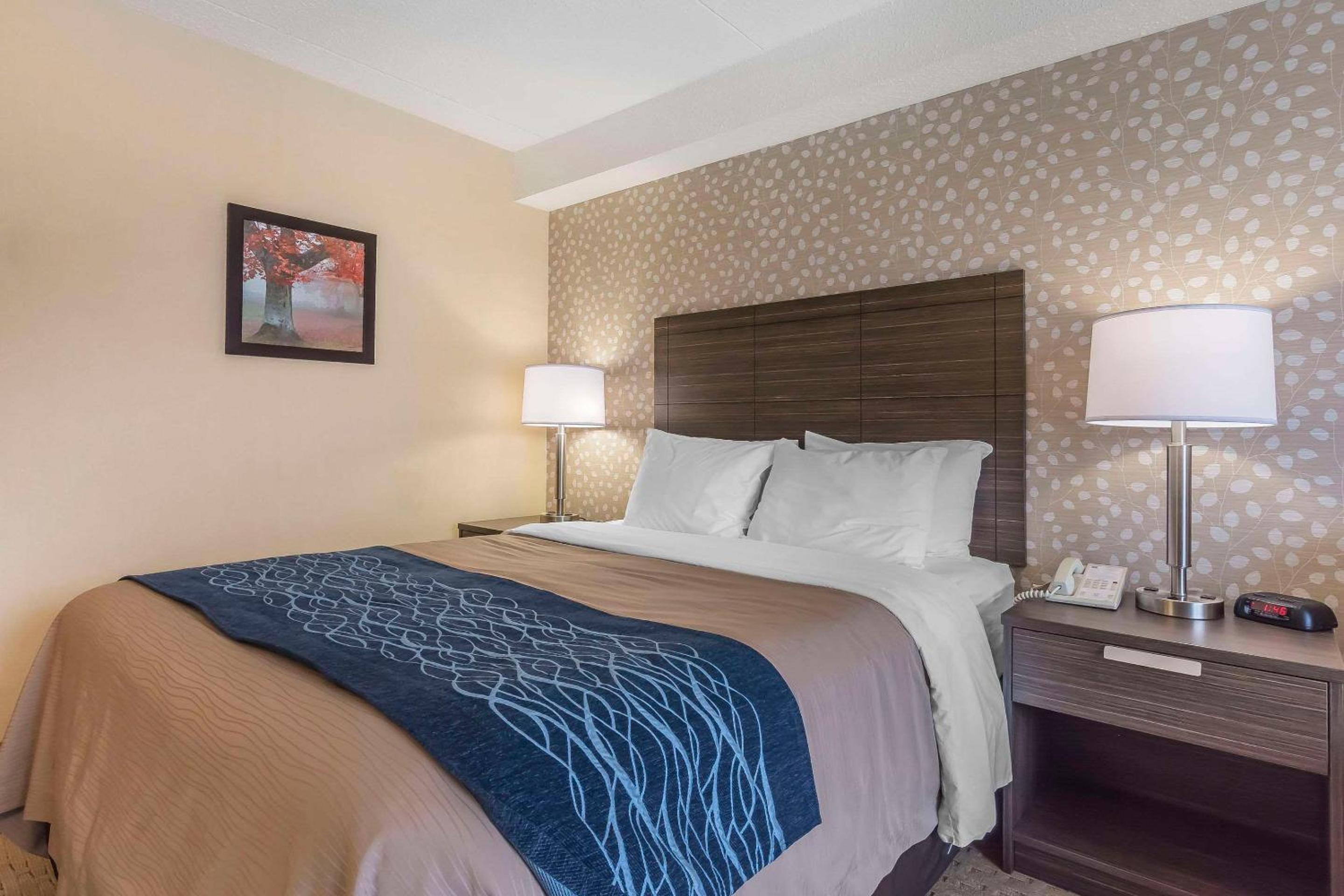 Levis Vacations - Comfort Inn - Property Image 20