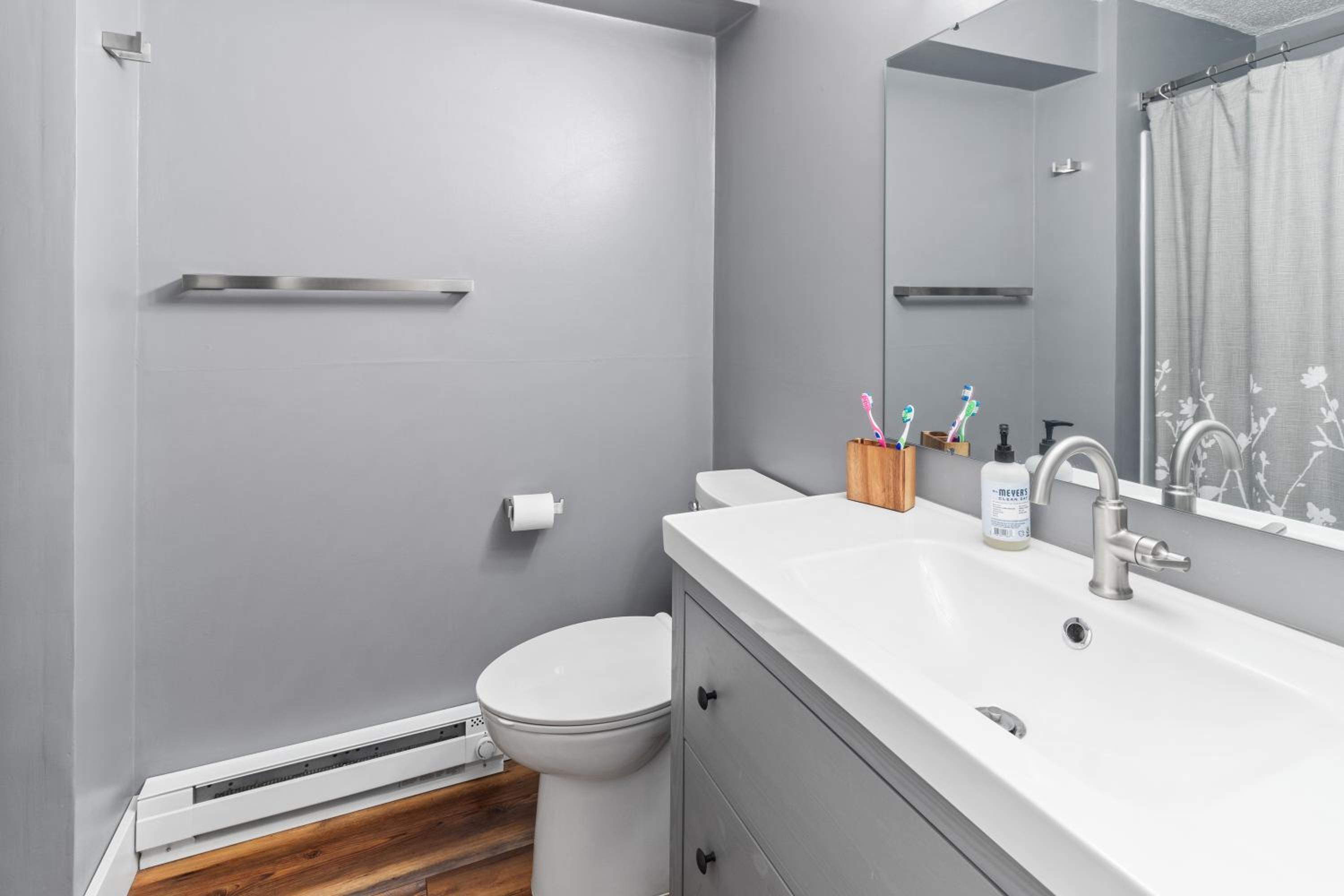 Super Cozy Studio Near Slopes And Shuttle Bus WiFi view 2
