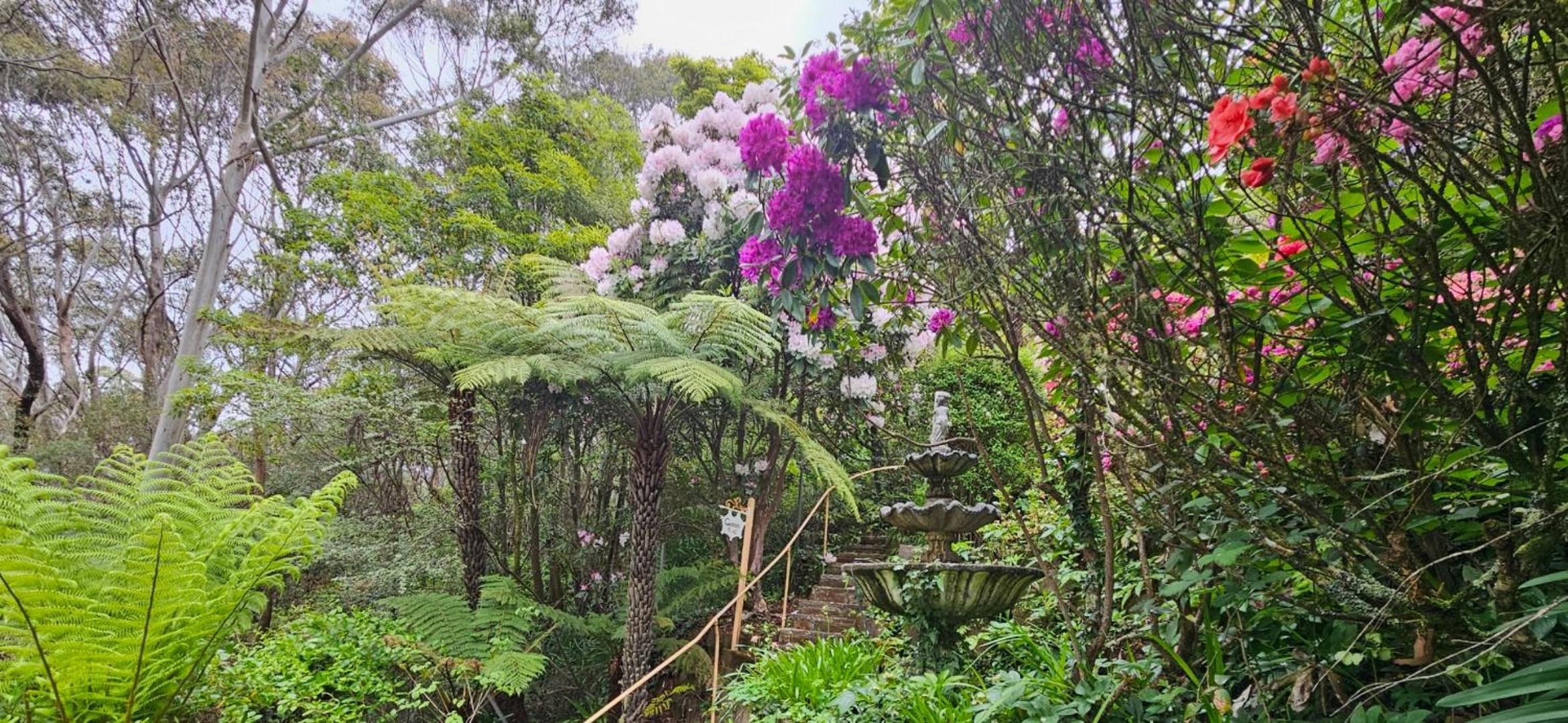 Dalia's Blue Mountain Retreat