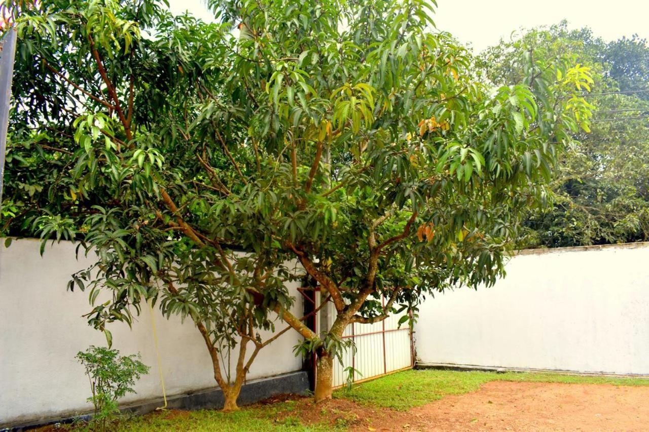 Hotel Damas Katunayake view 5