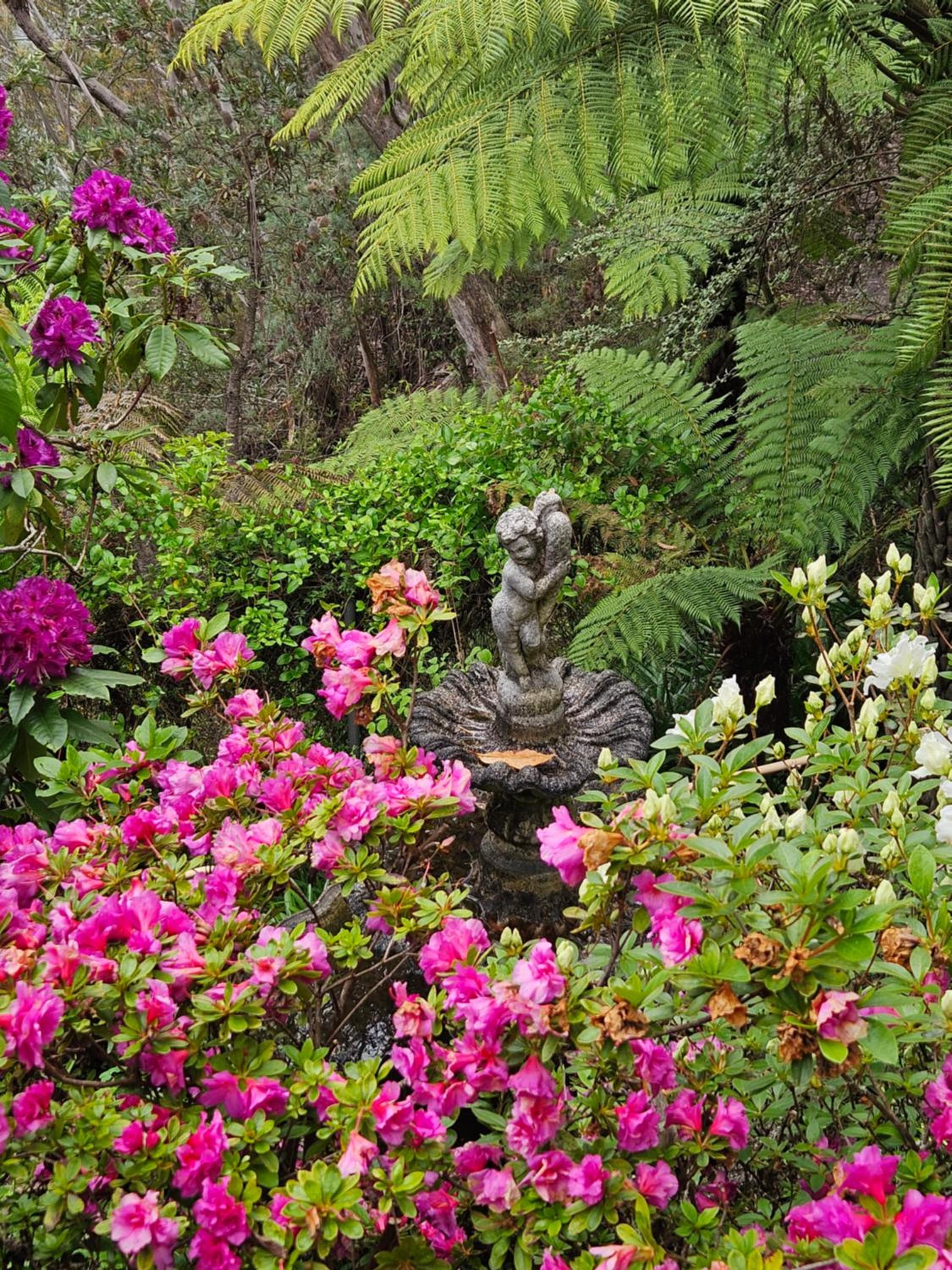 Dalia's Blue Mountain Retreat