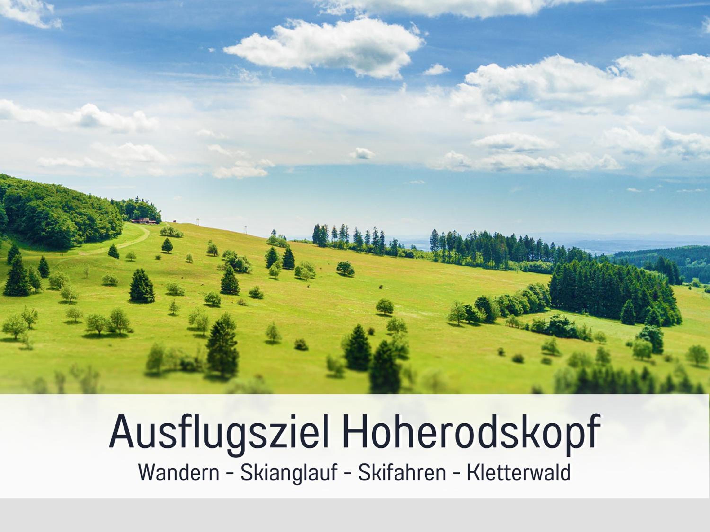 Großes Ferienhaus für 12 -17 Personen mit Whirlpool - Spielzimmer und Garten