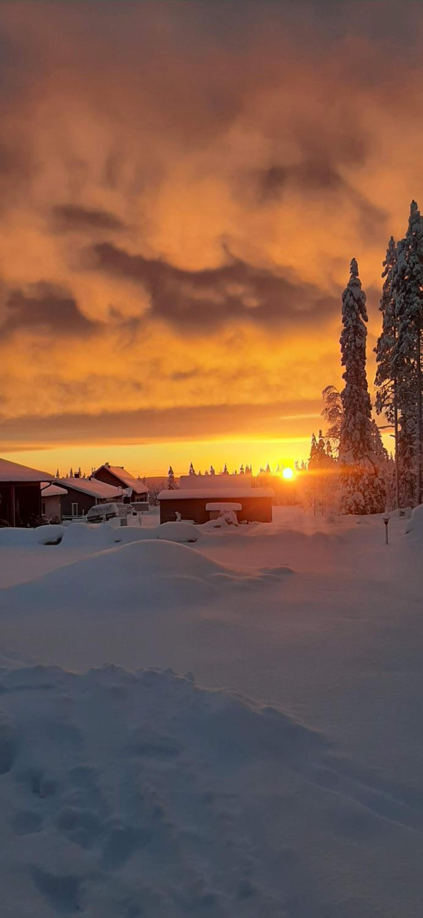 Arctic Giantlog Villa