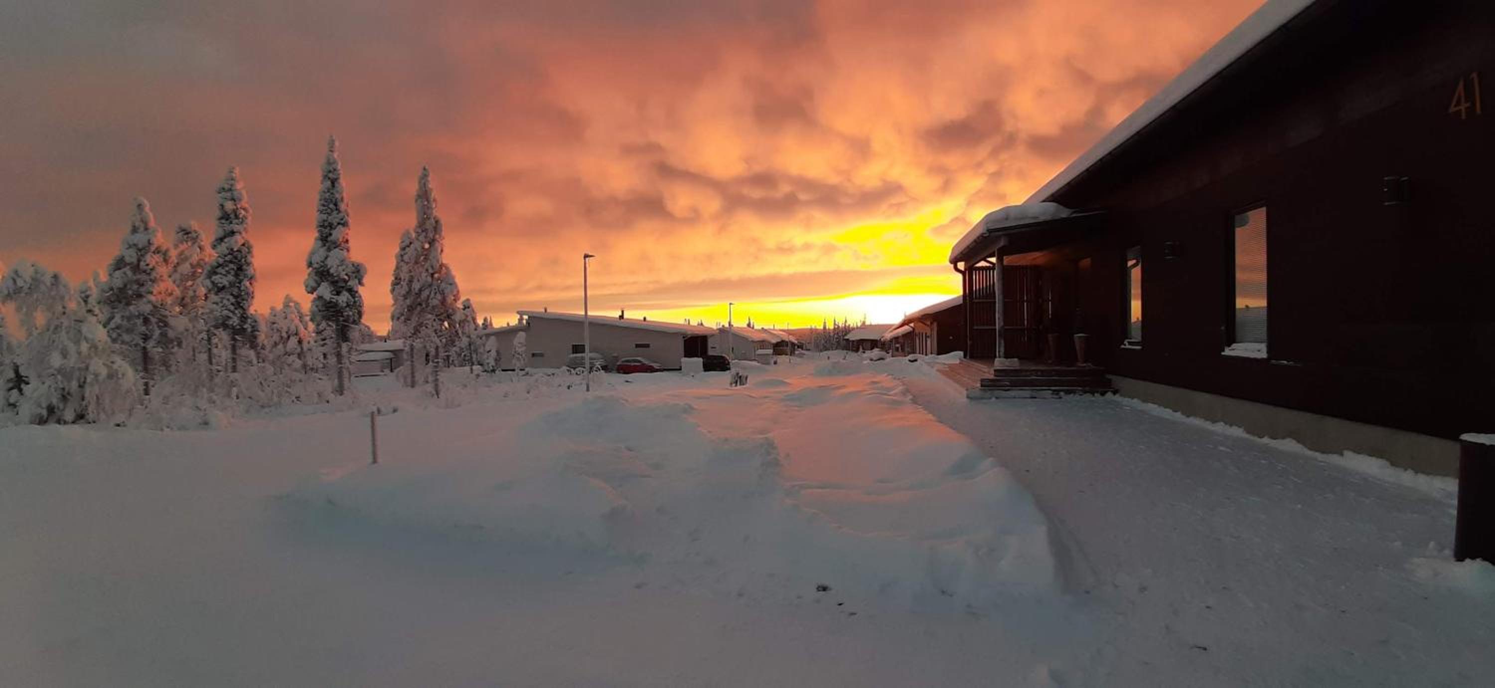 Arctic Giantlog Villa