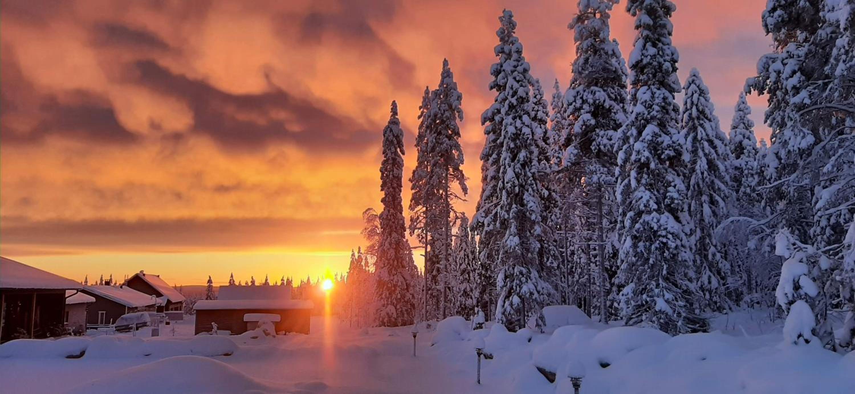 Arctic Giantlog Villa