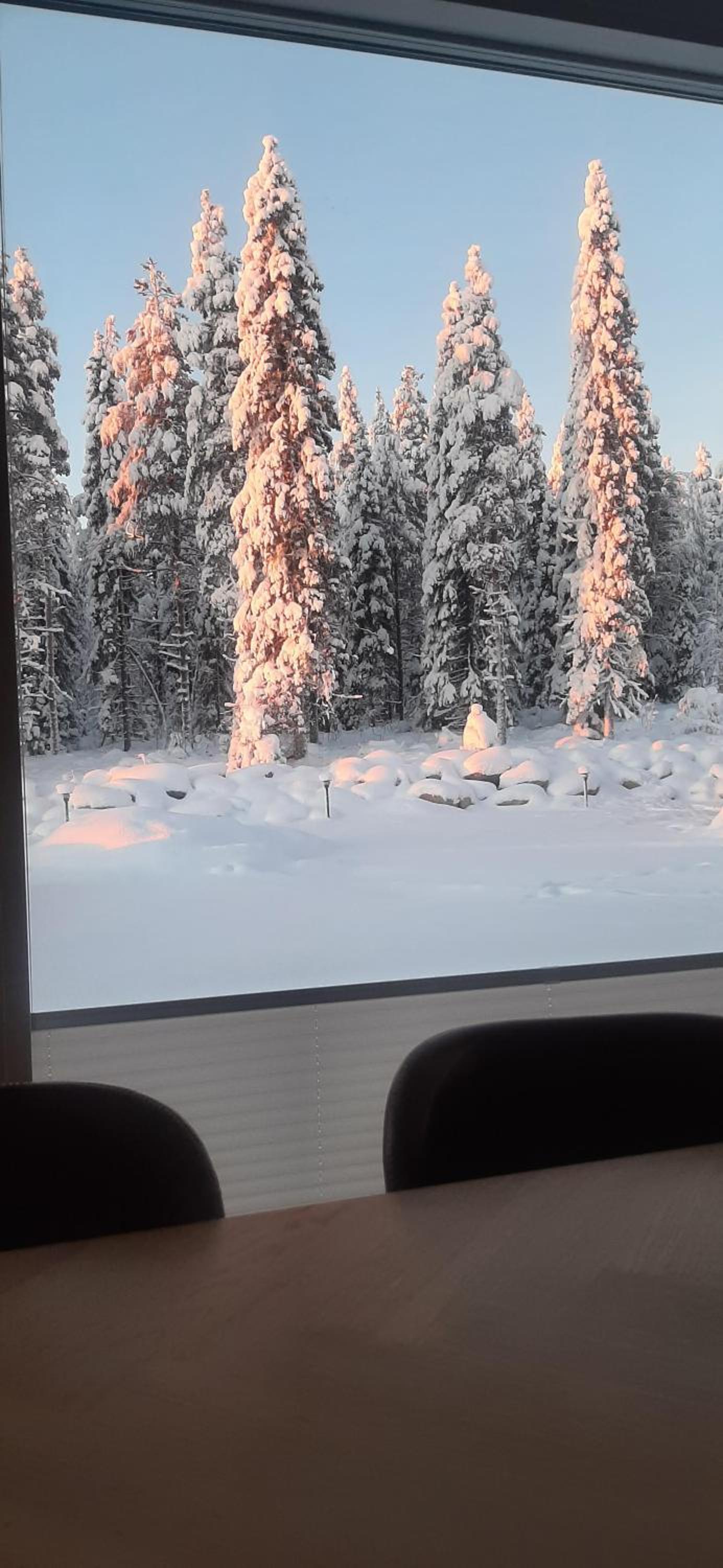 Arctic Giantlog Villa