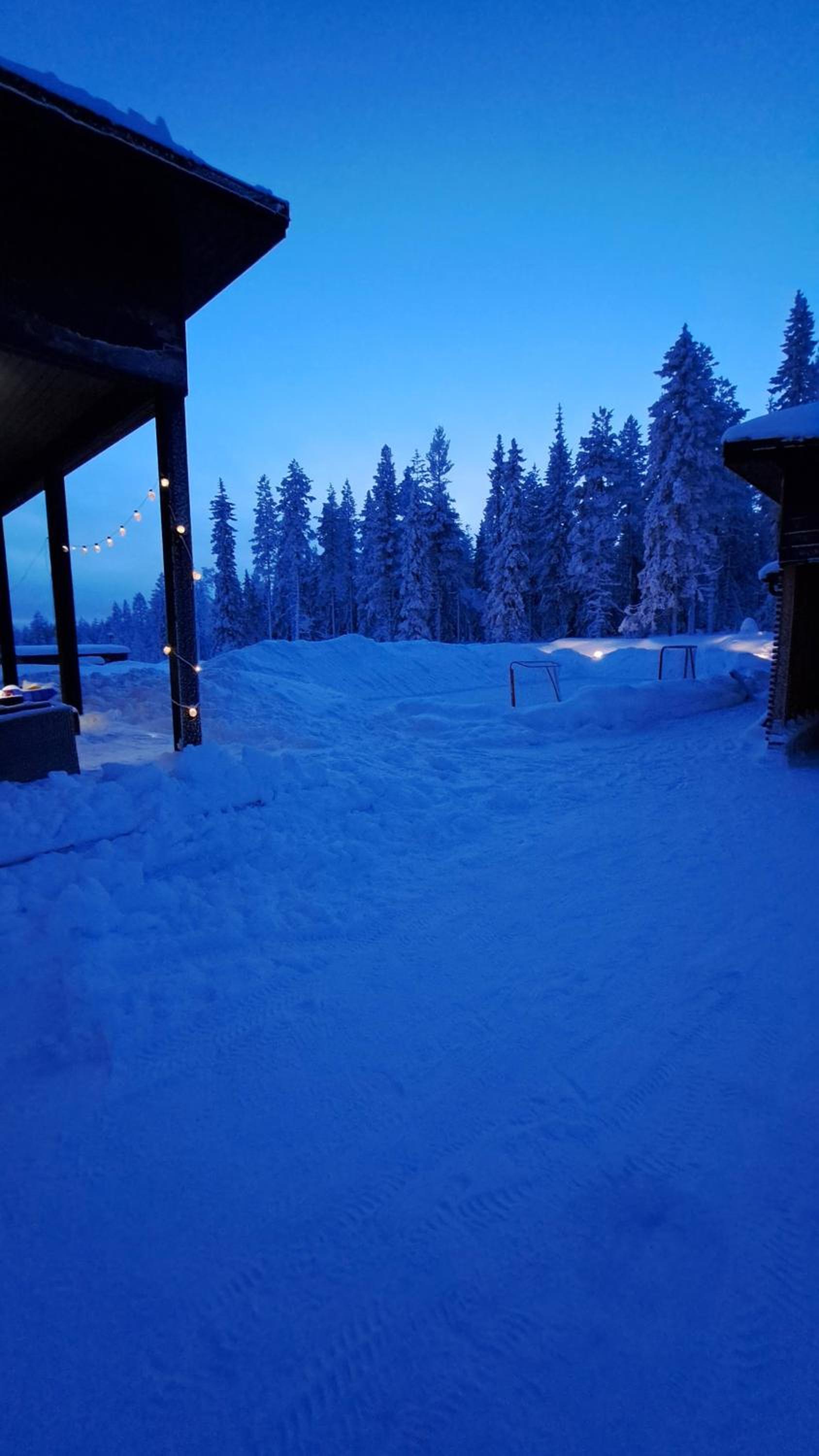 Arctic Giantlog Villa