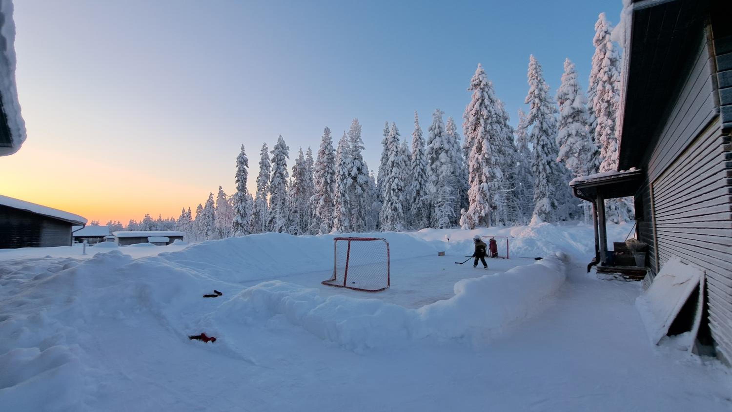 Arctic Giantlog Villa