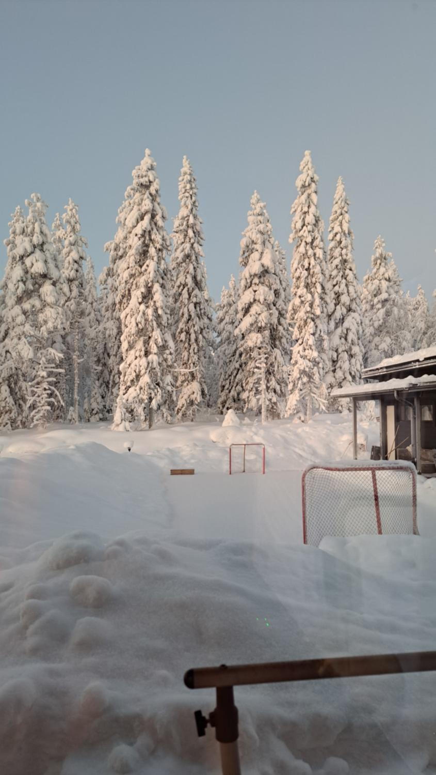 Arctic Giantlog Villa