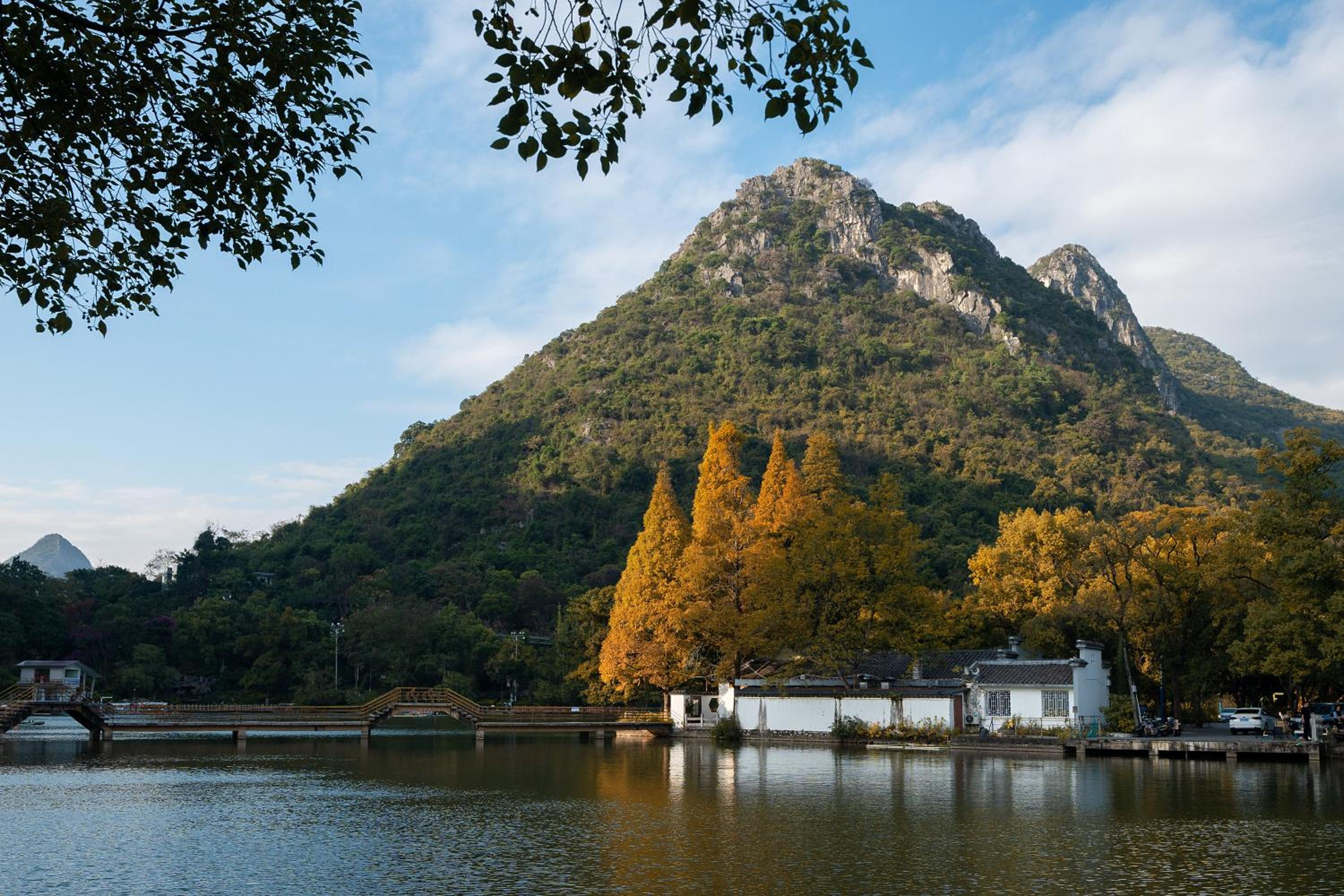 Guilin Camphor Country House Free pick-up service at train station for two nights