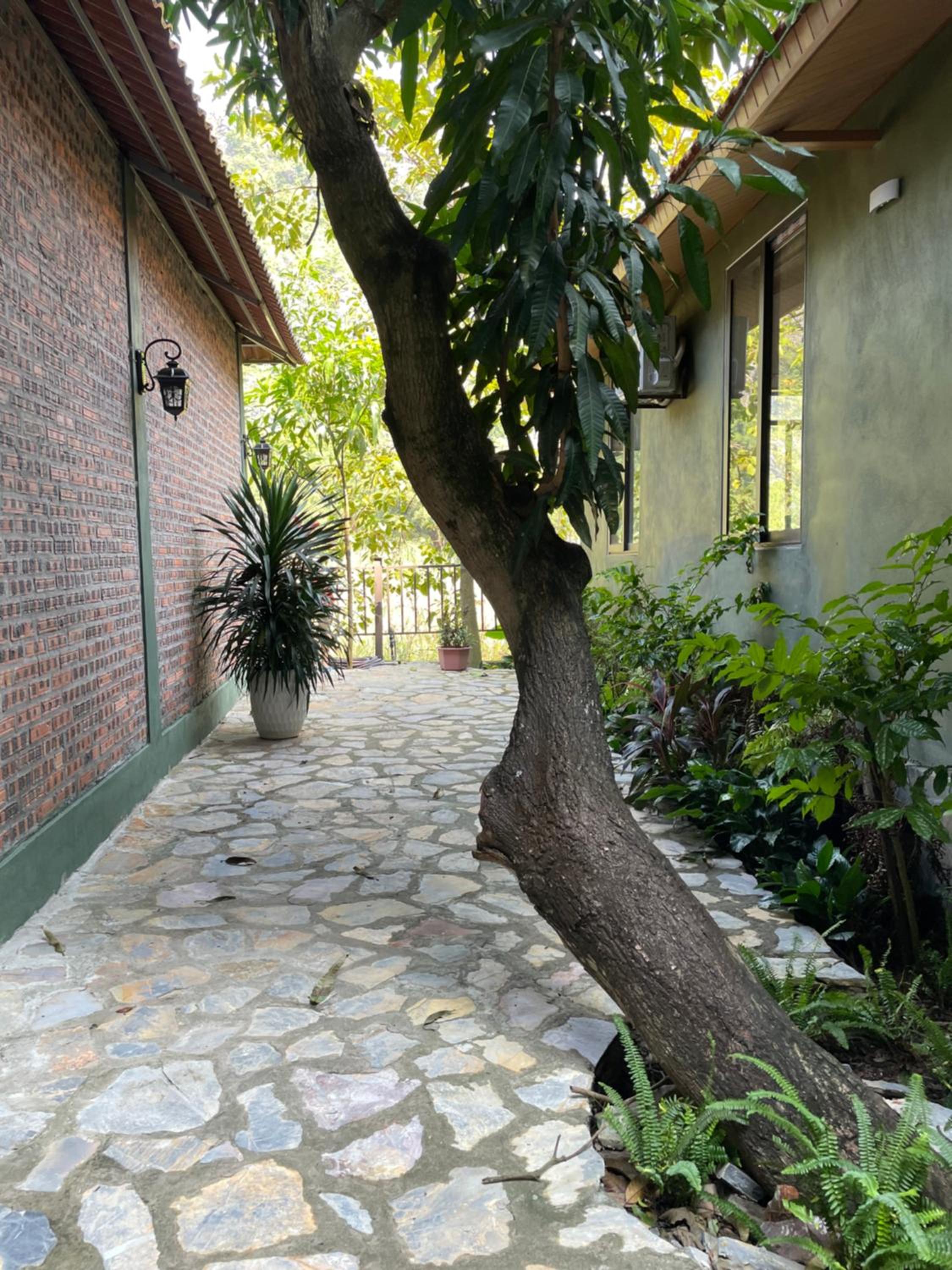 Photo 20