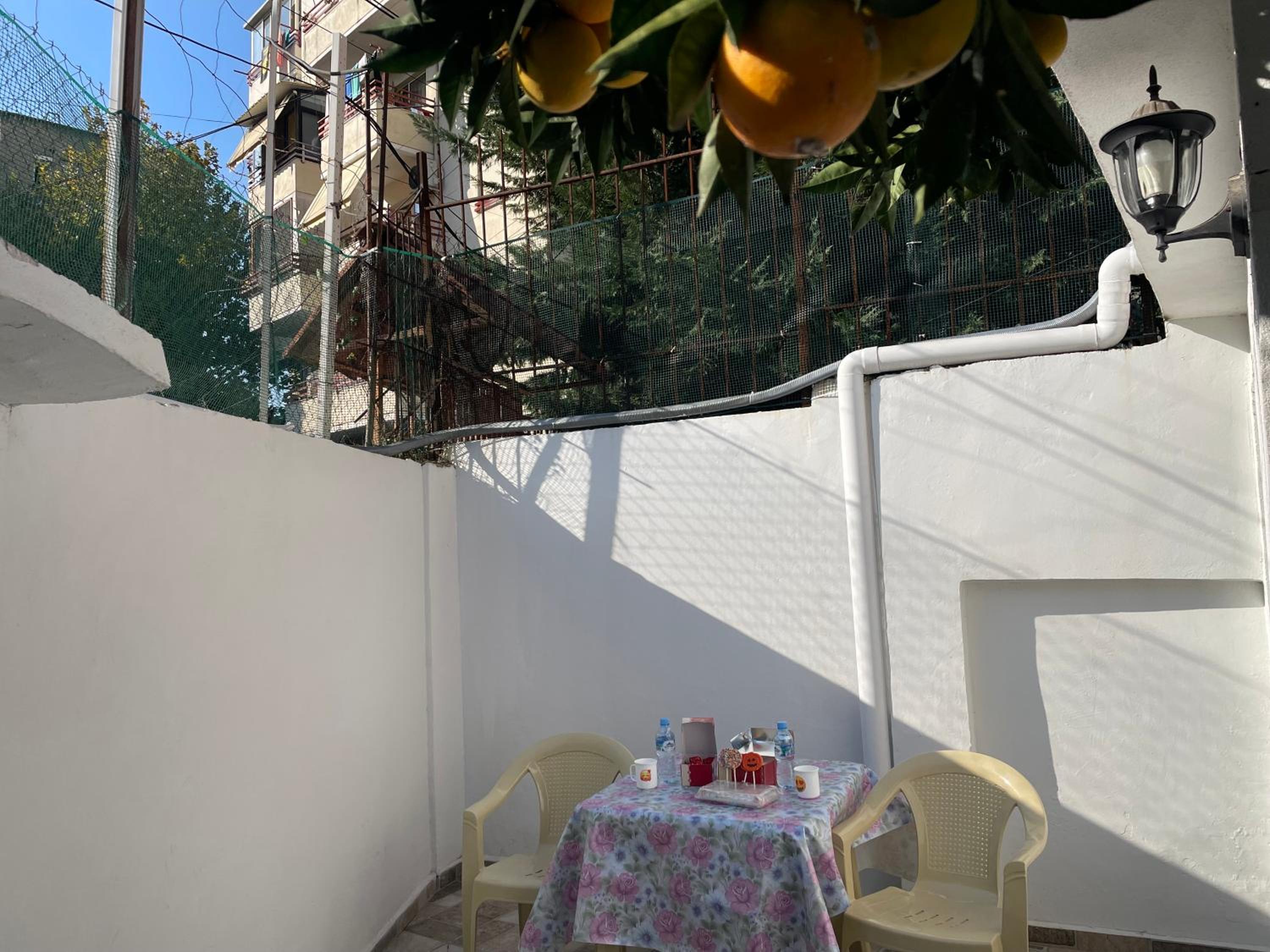 Lemon orange tree&grape vine villa