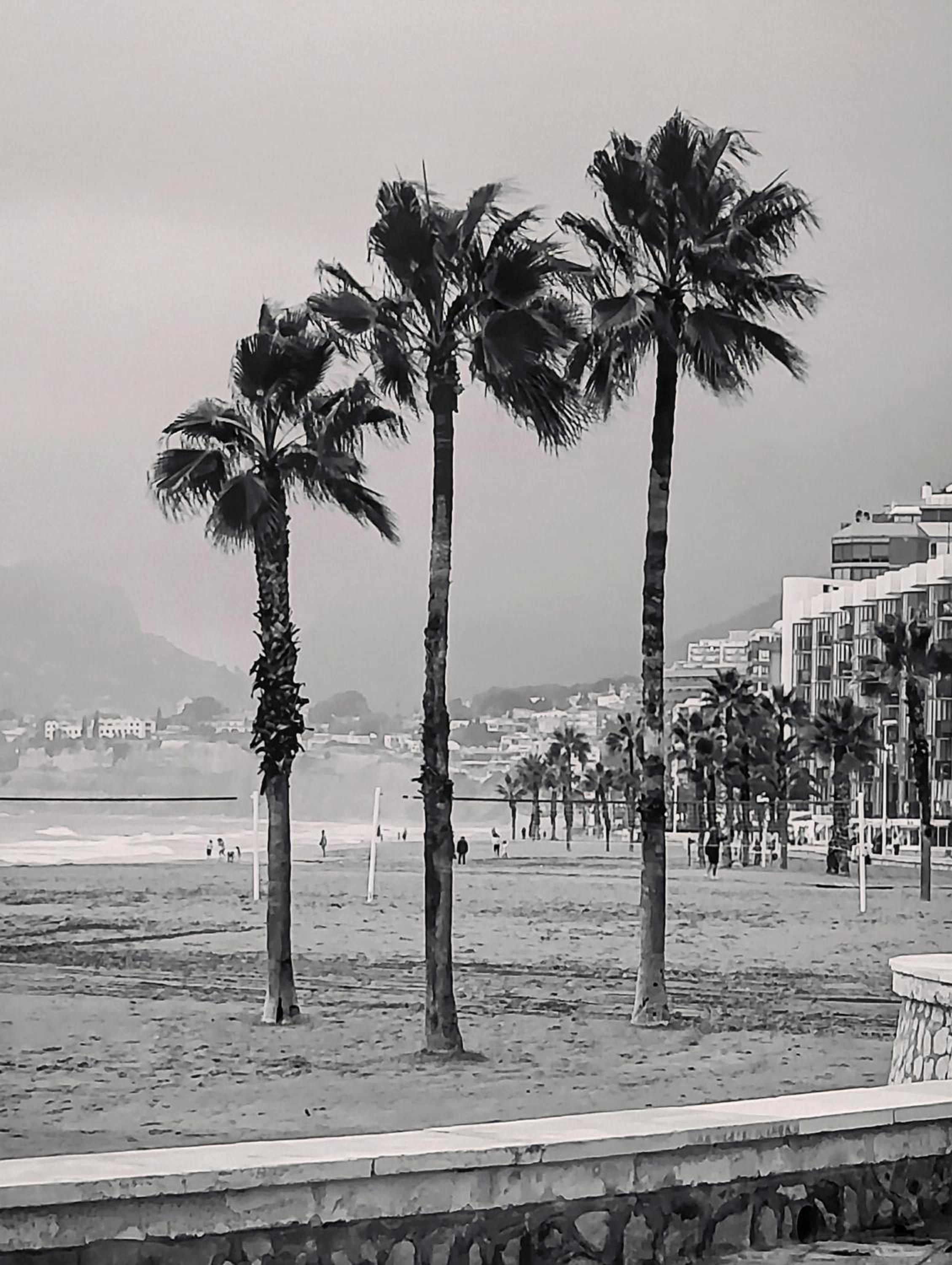 CBS- Calpe biking and summer view 3