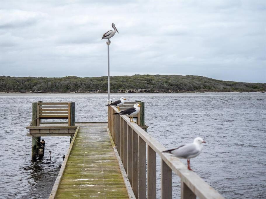 Pelicans View a Riverside Retreat