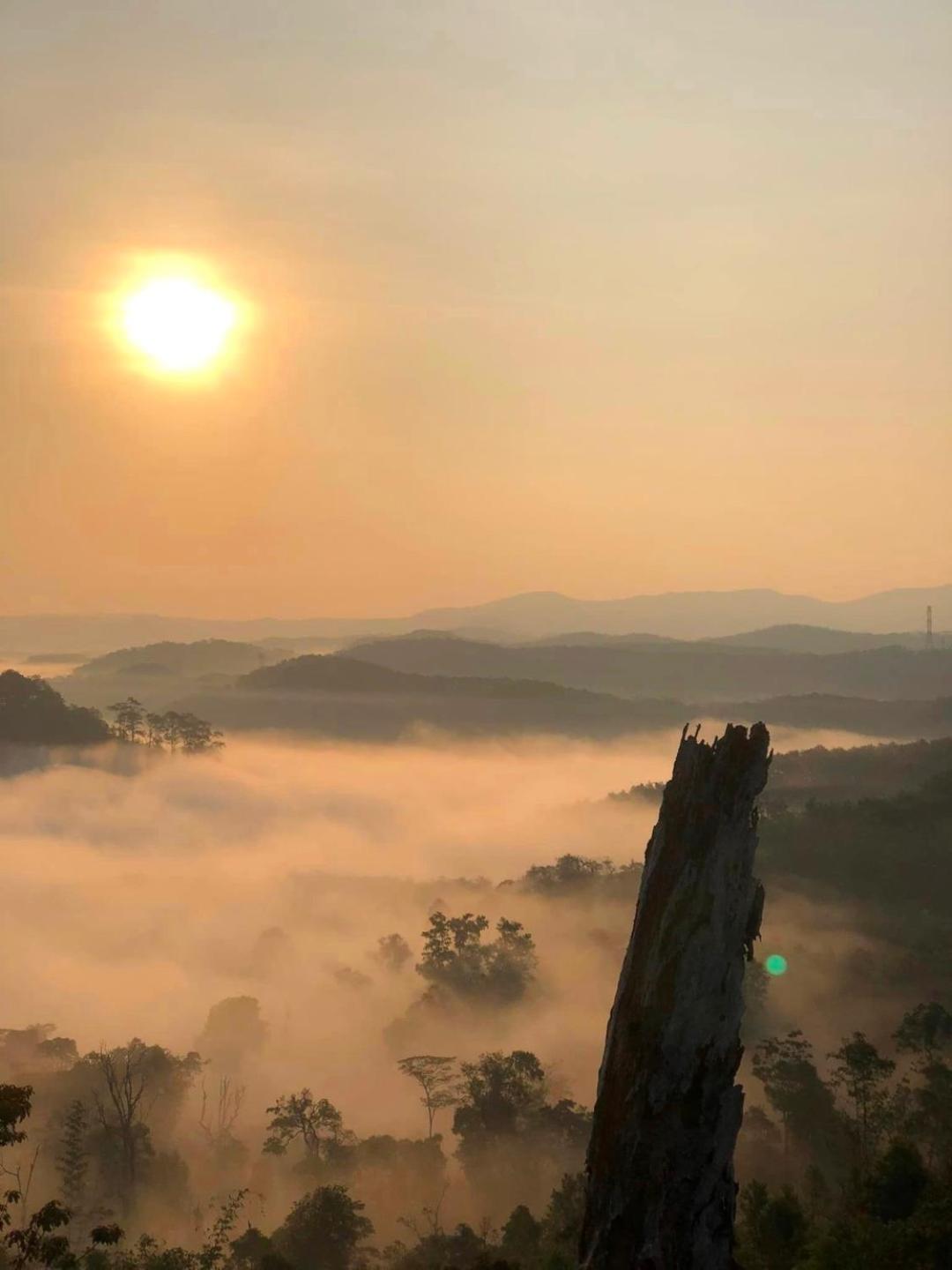 Vườn Trà HomeStay Măng Đen