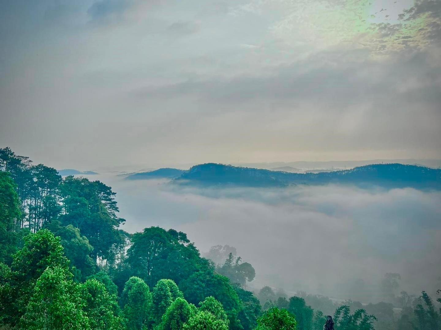 Vườn Trà HomeStay Măng Đen