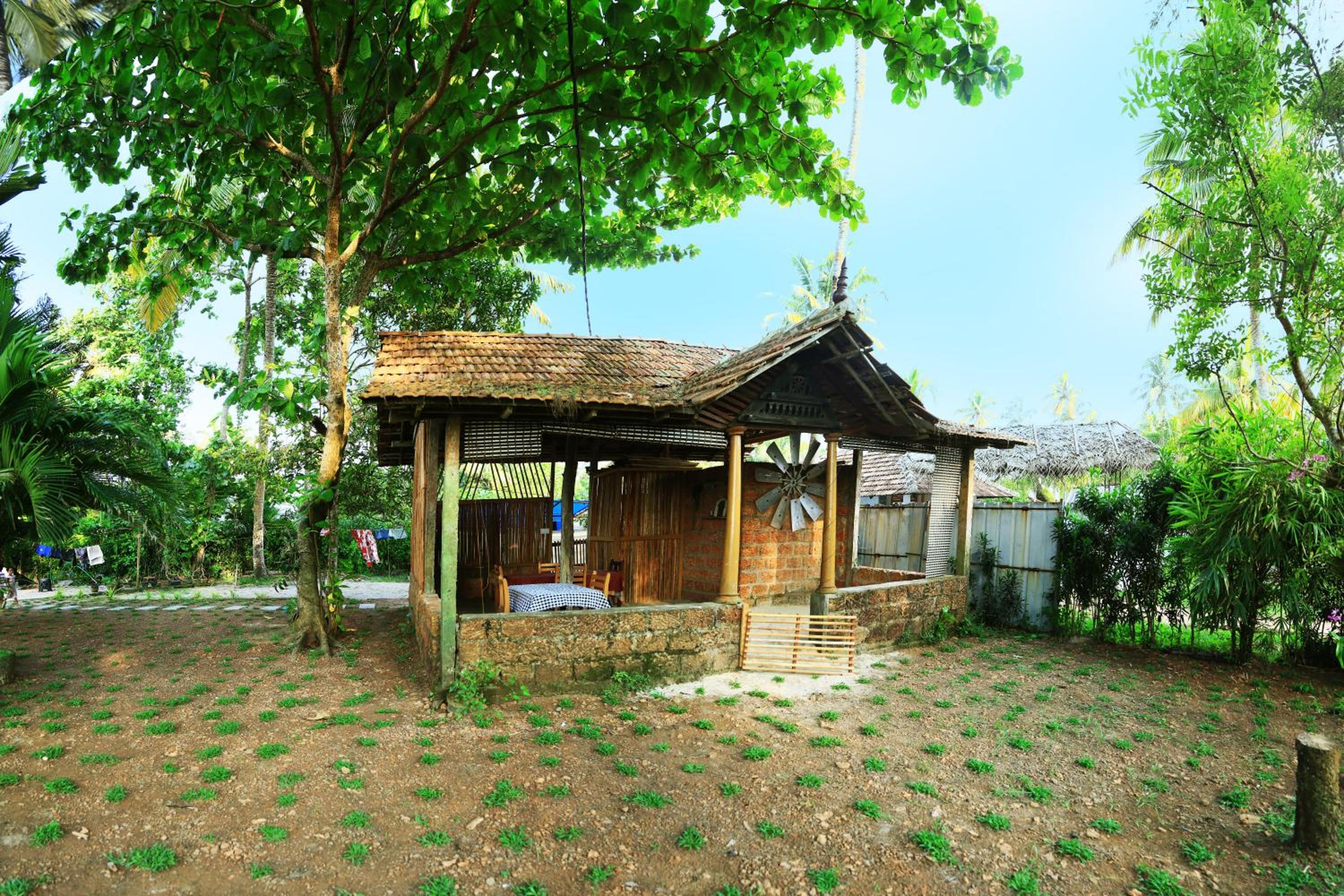 Photo 42