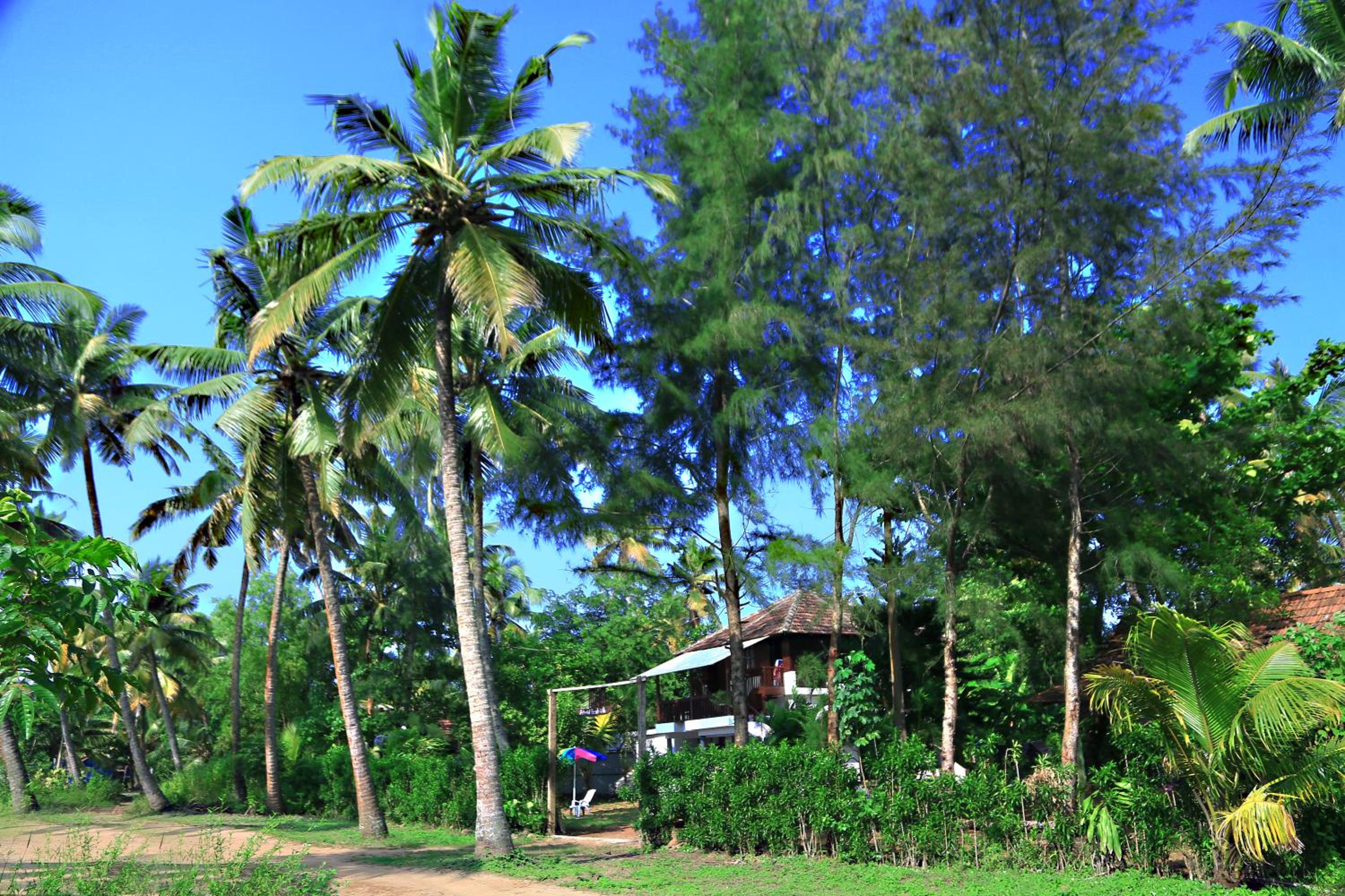 Arthunkal Beach villa Marari view 4