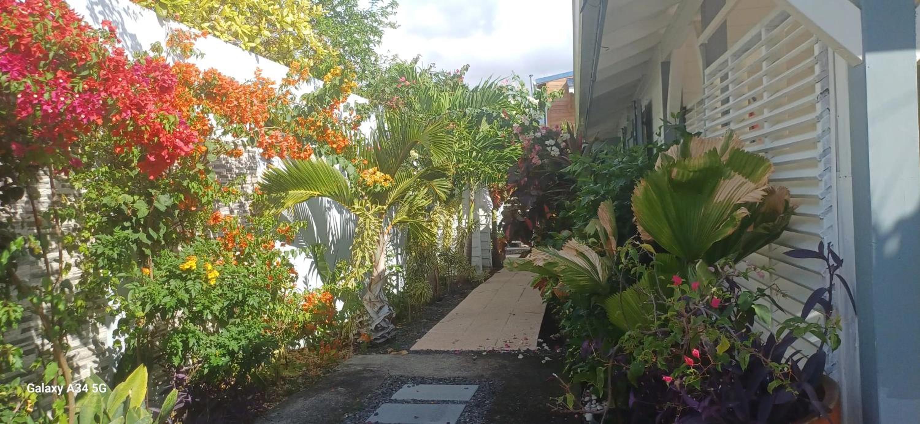 Villa élégante à Bouillante avec piscine privée view 3
