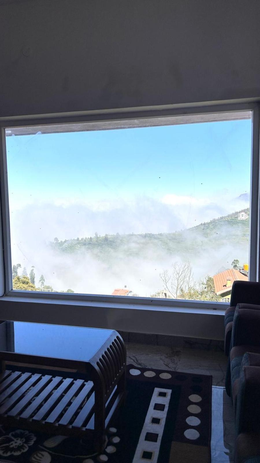 The Great Travel Diaries view 4