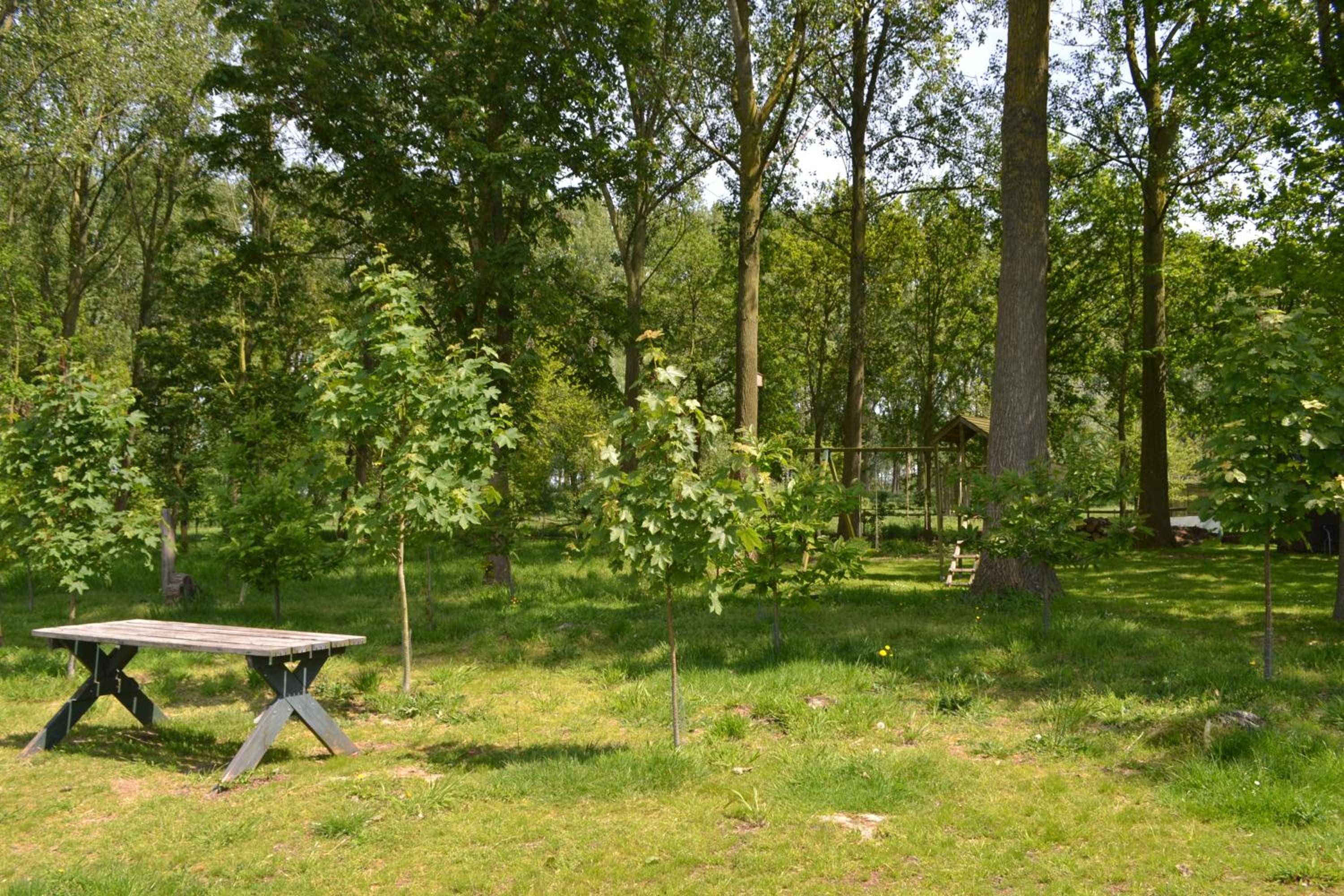 De Smokkelaar & Het Schuurtje