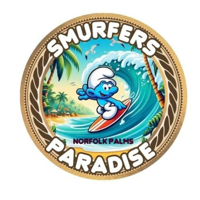 Norfolk Palms - Smurfers Paradise view 4