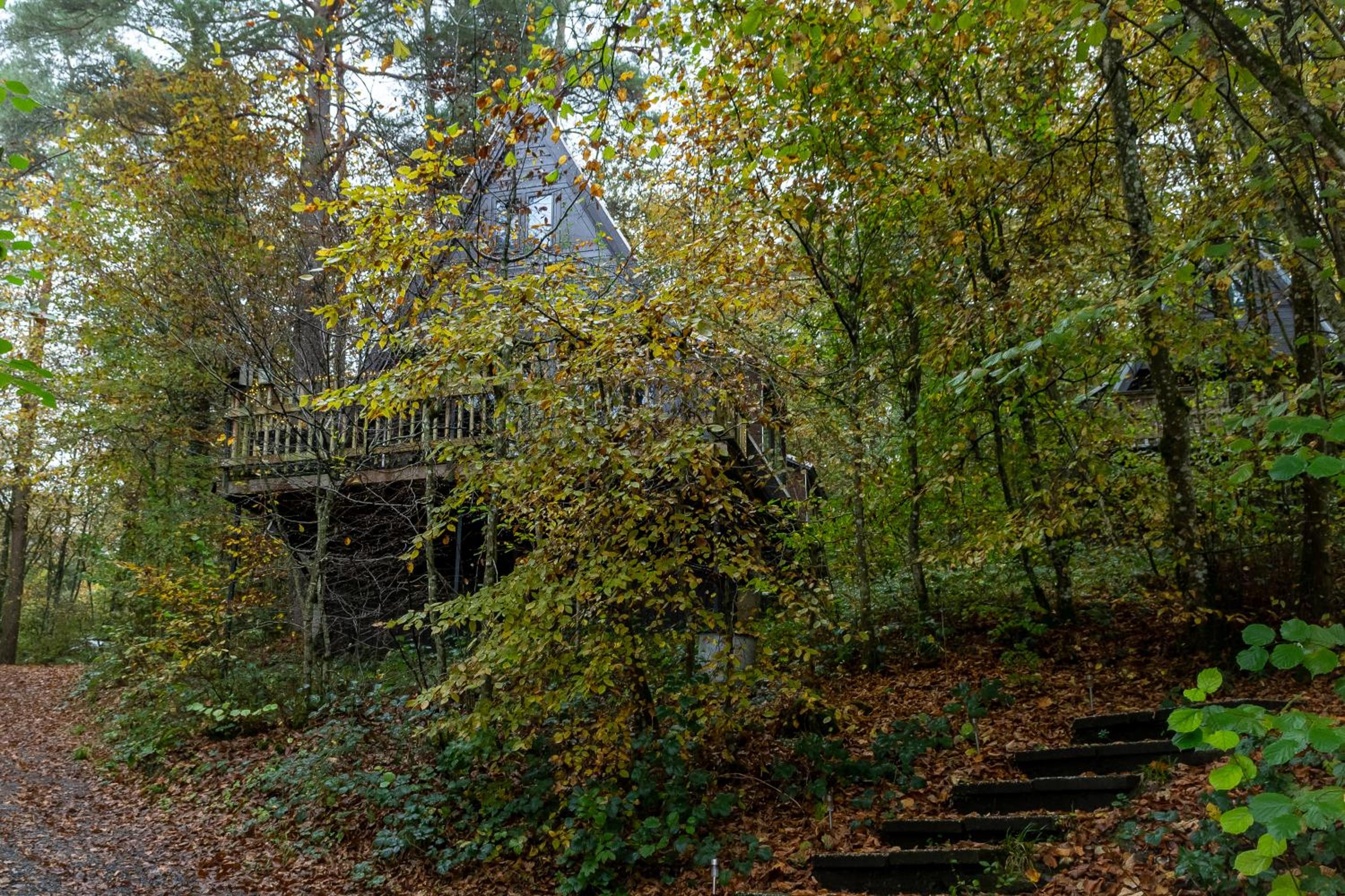Boshuisje Viva l'Ardenne - Chalet 122