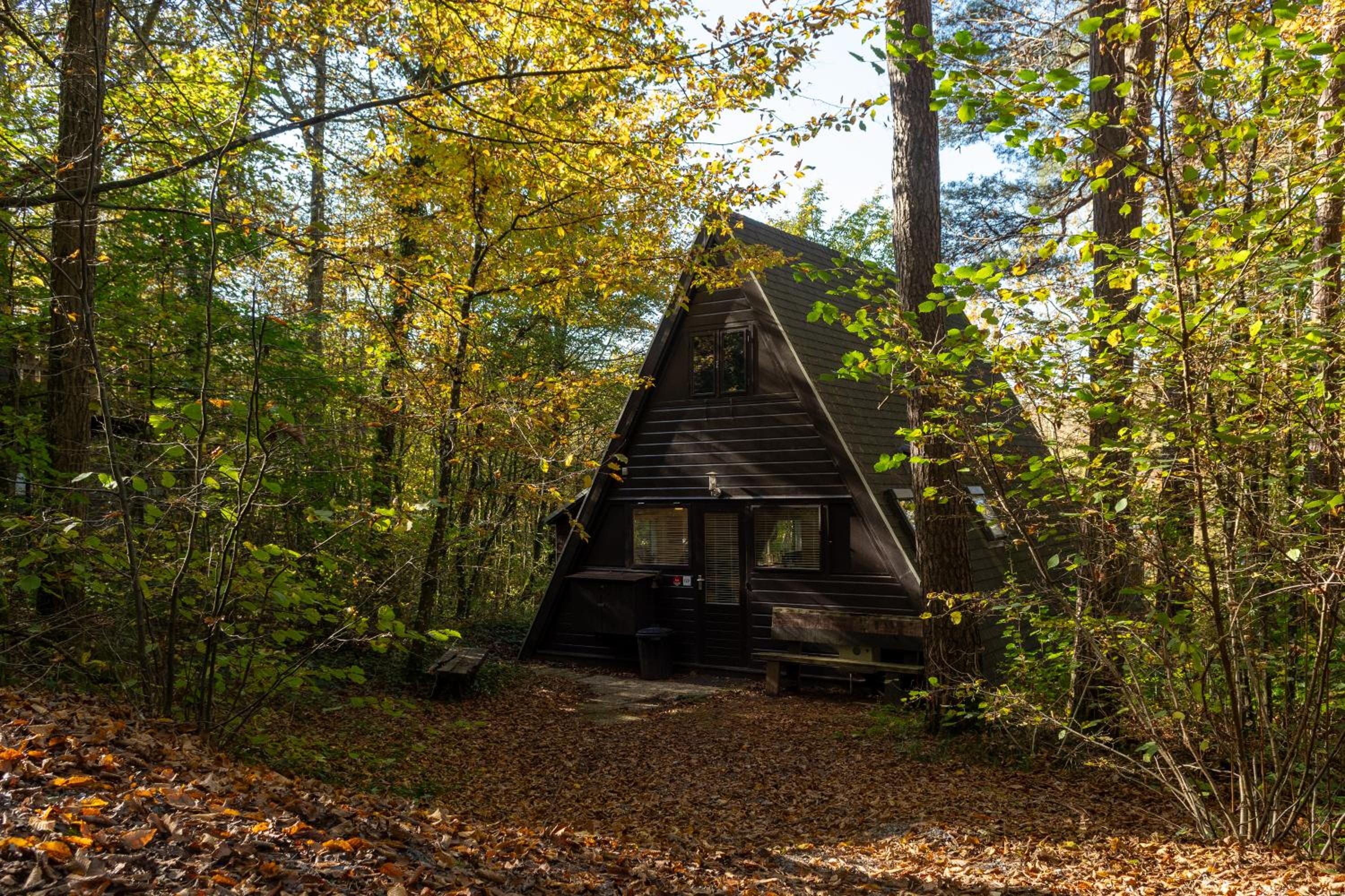 Boshuisje Viva l'Ardenne - Chalet 122