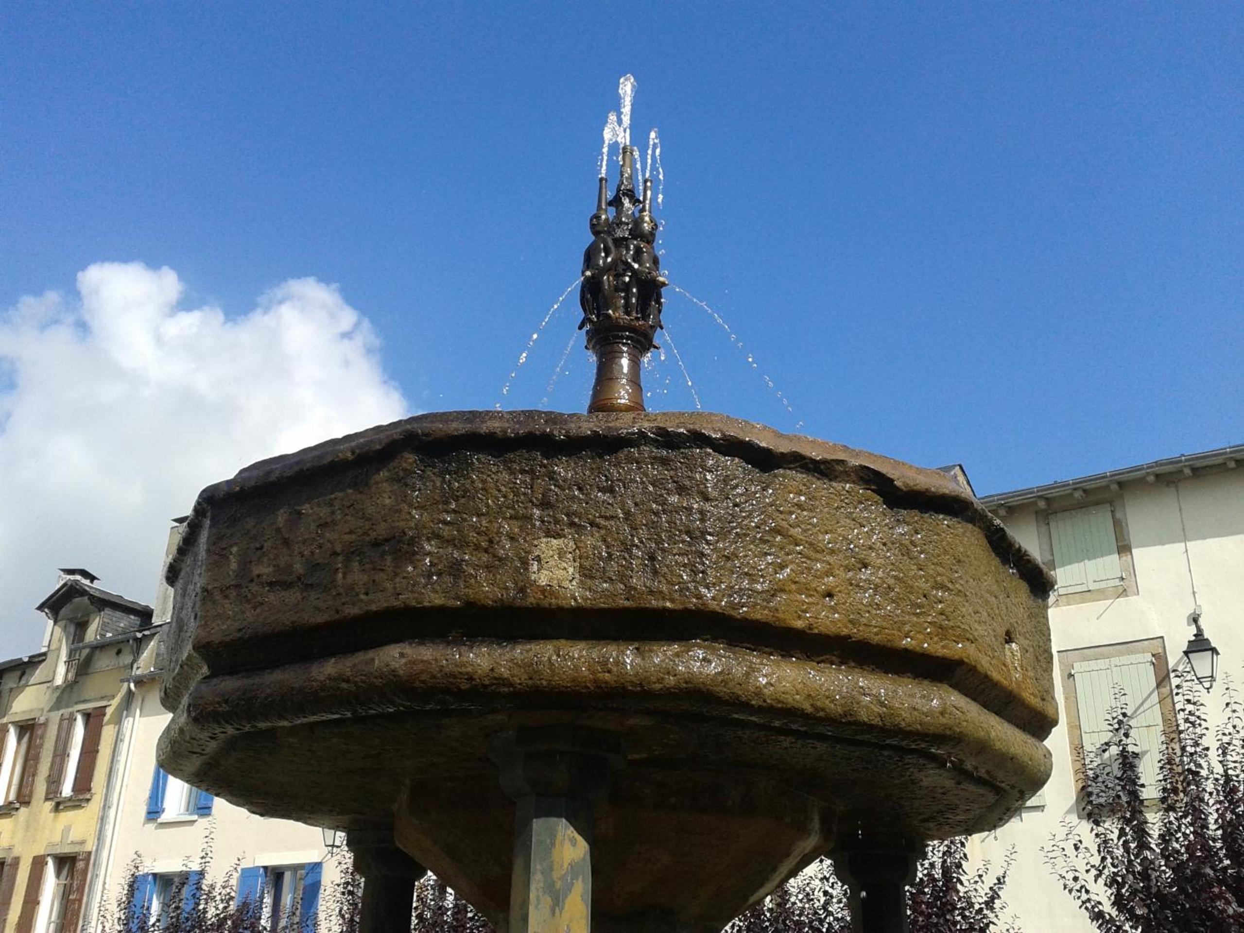 Photo 15