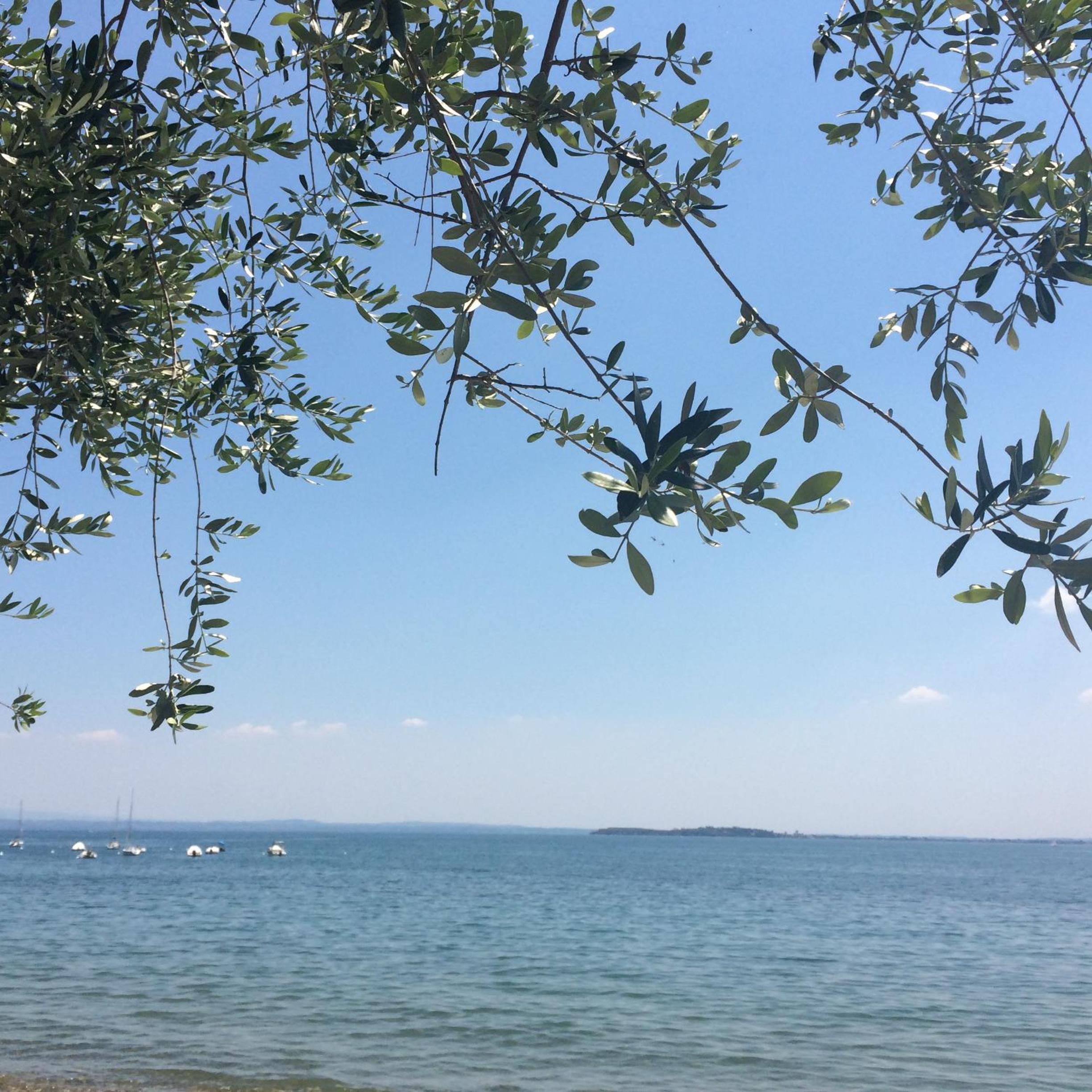 Camping Porto srl