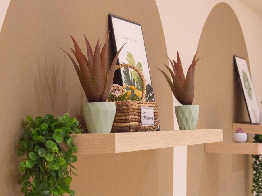 1Tebrau by Cactus Homestay