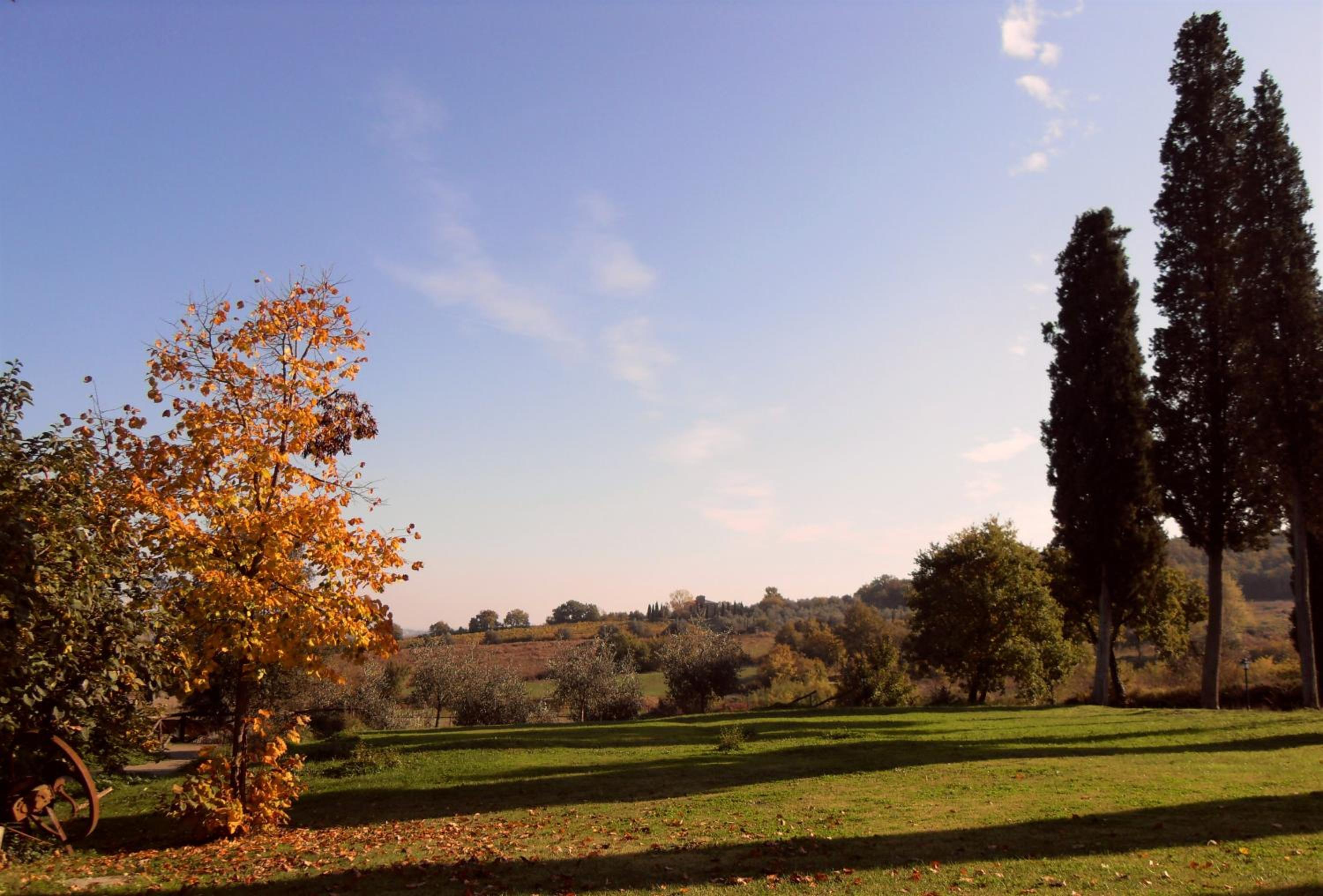 Podere Pievina Delle Corti - Dimora di Campagna