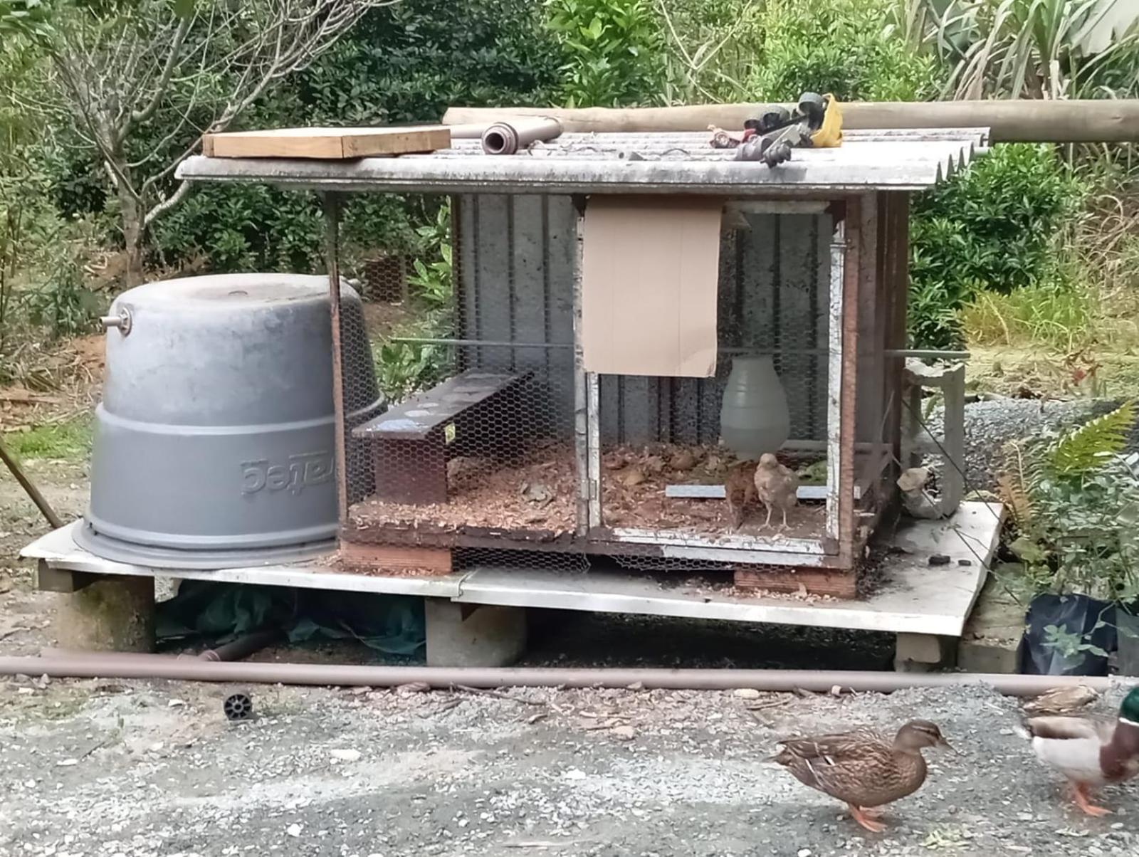 MICRO CASA DE SITIO DO TIO Tonho