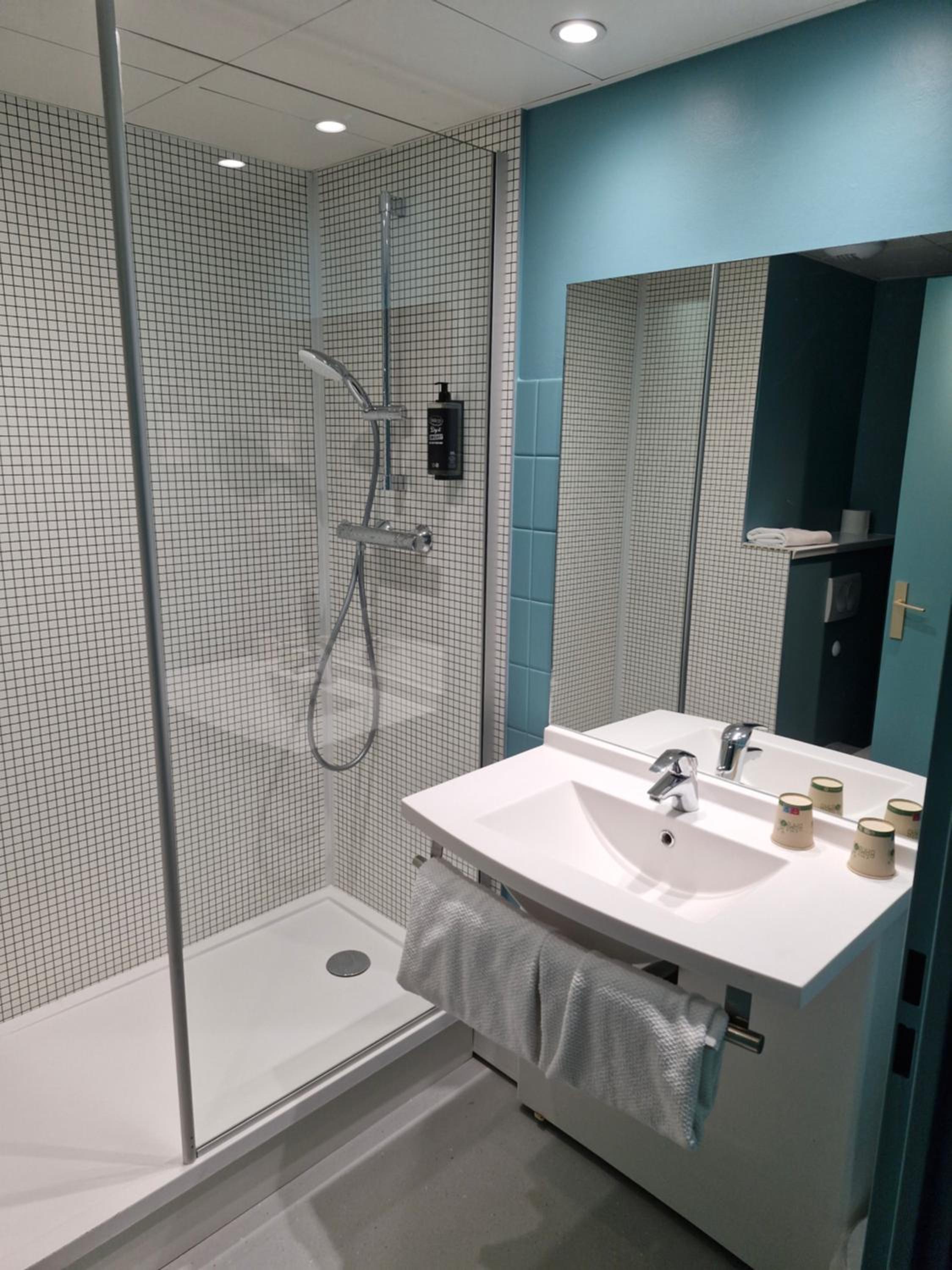 ibis budget Saint Dié des Vosges, photo 7