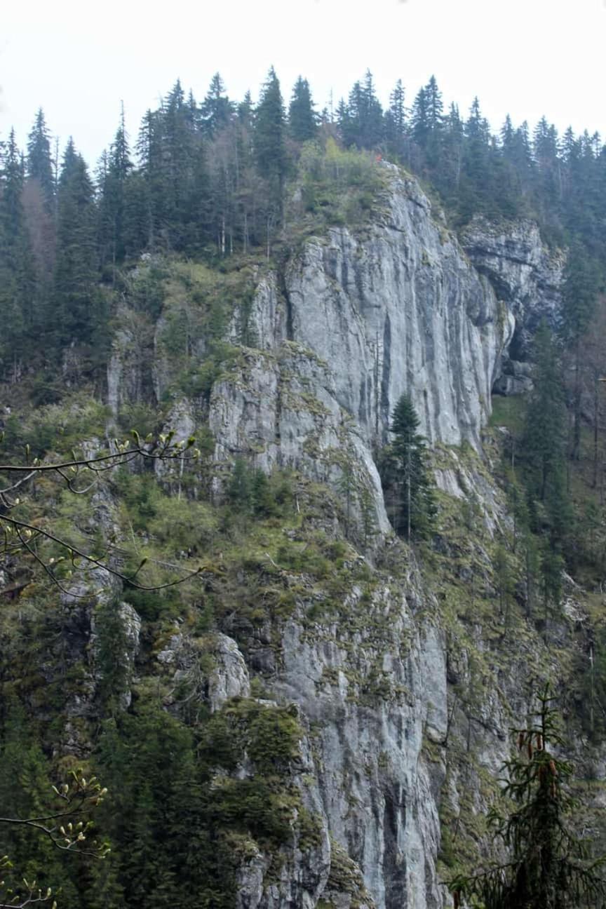 Photo 39