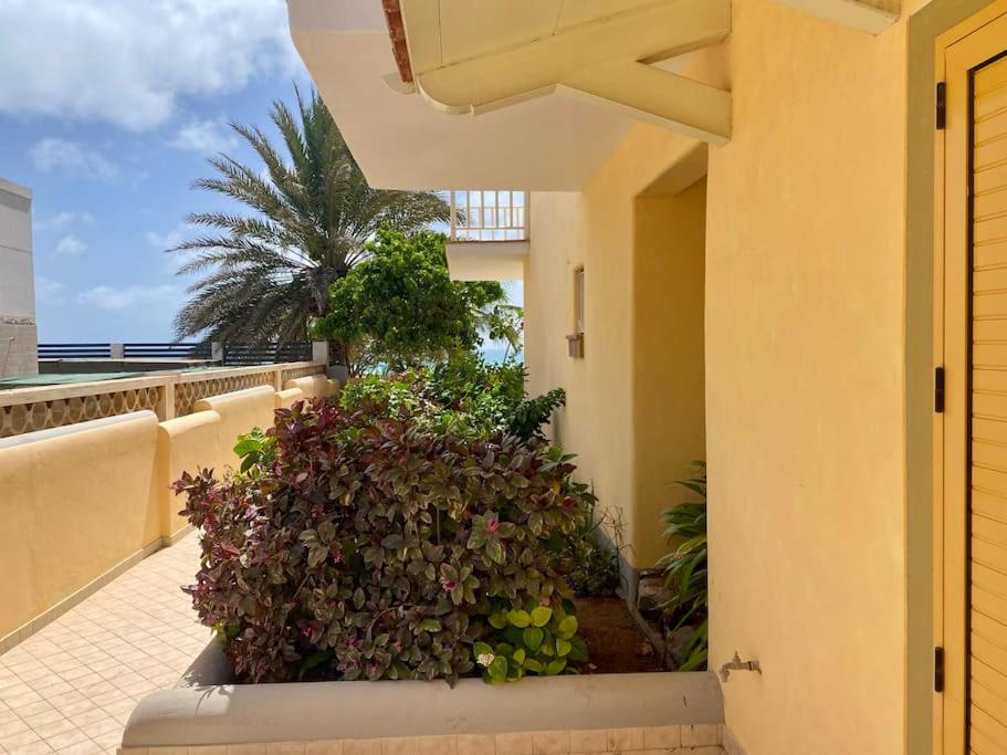 Raio Do Sol - Beach front studio with city view