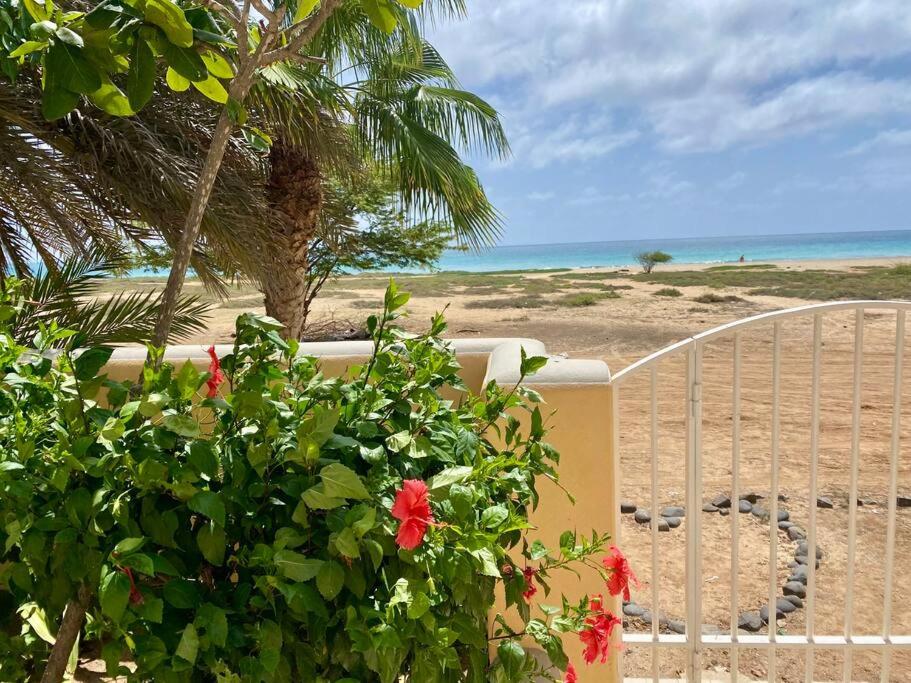 Raio Do Sol - Beach front studio with city view