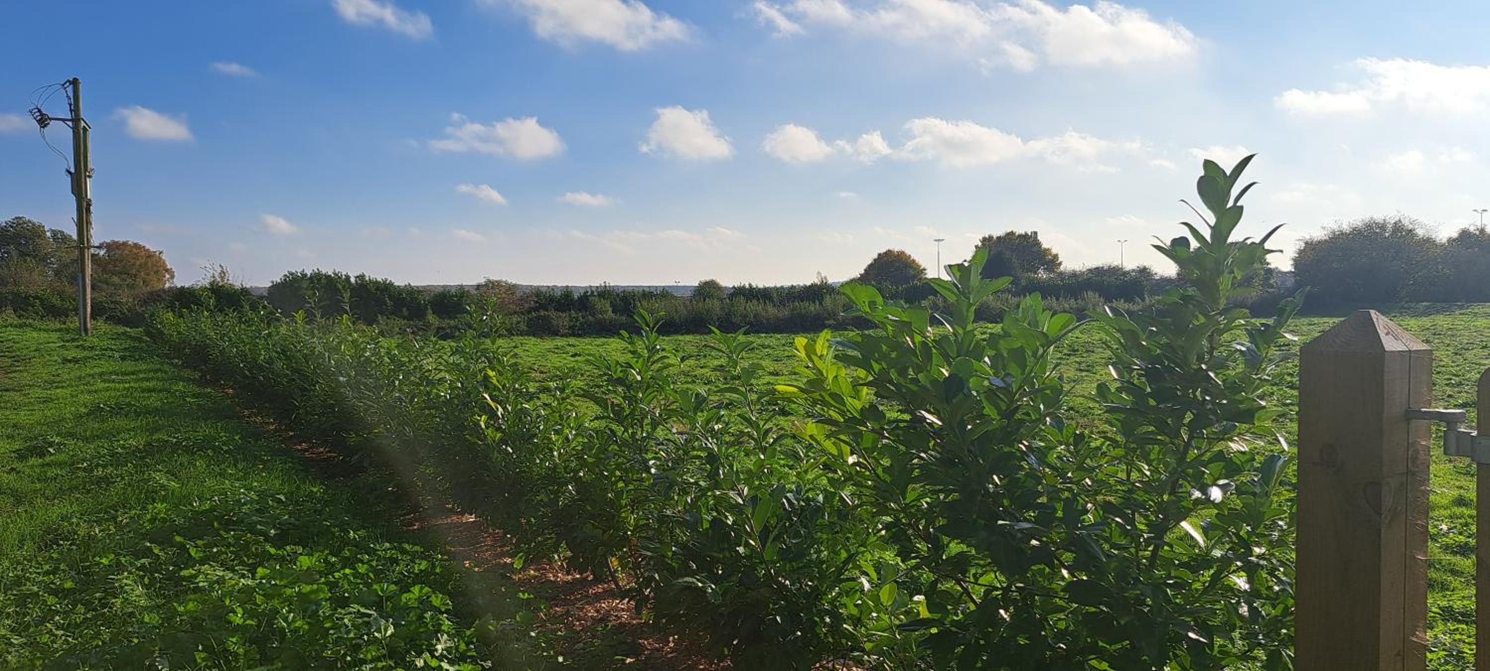 Massive 4 bed with countryside views in Peterborough