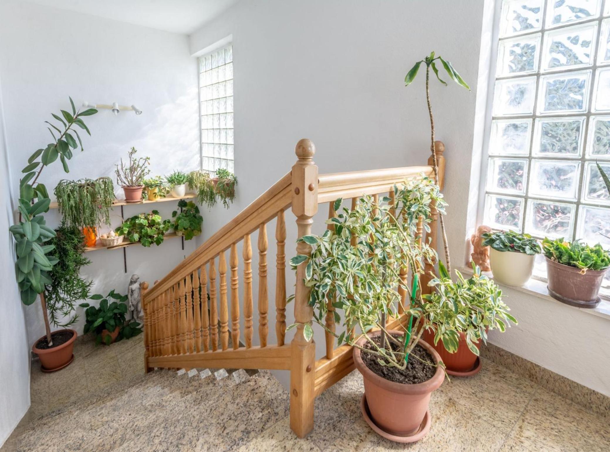 Charming Trogir Apartments with Balcony