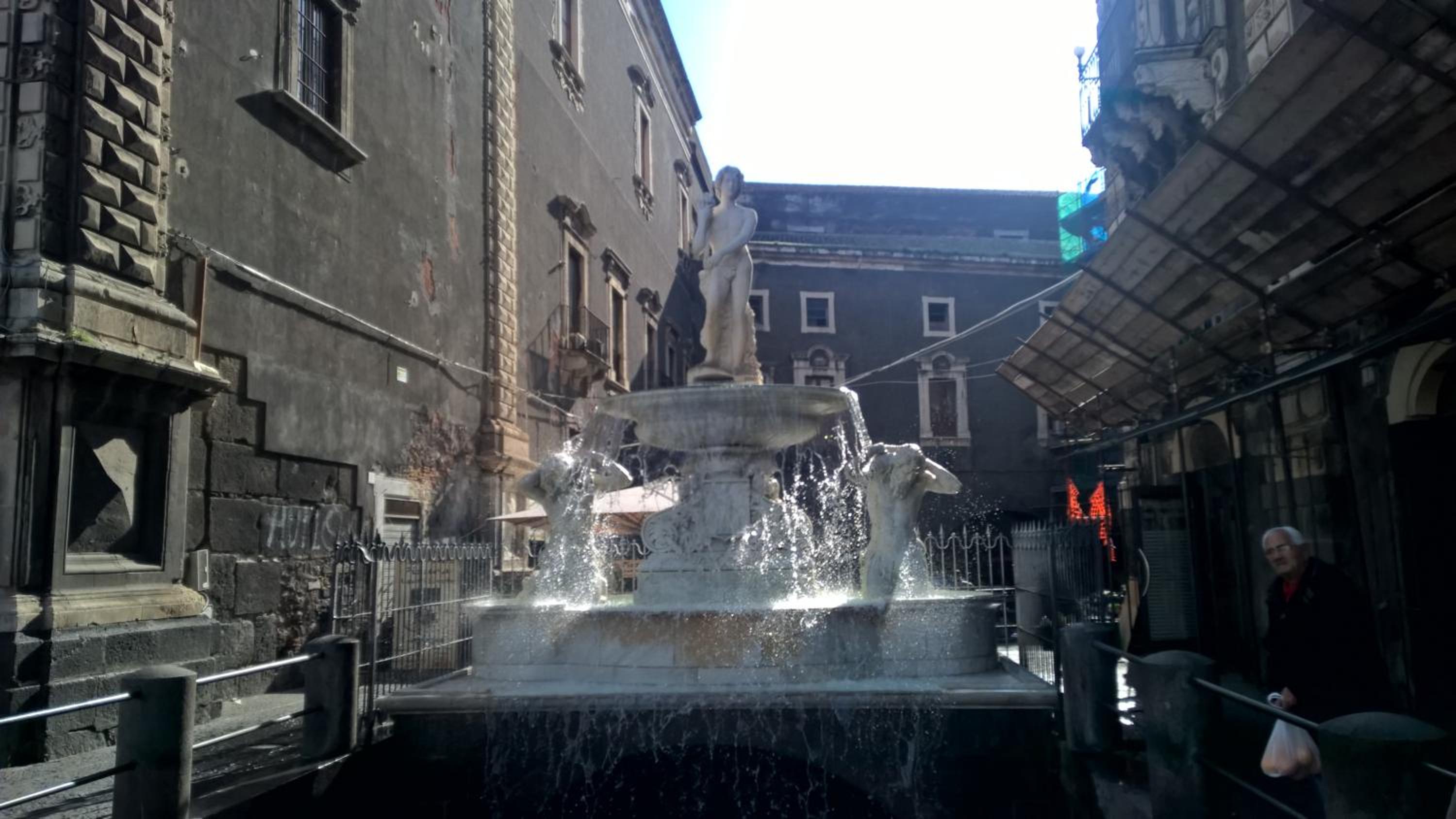 Photo 52