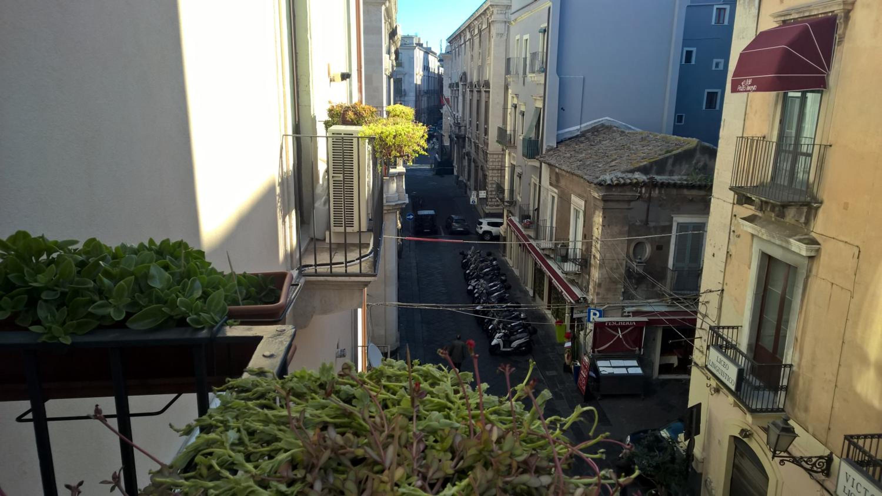 Photo 38